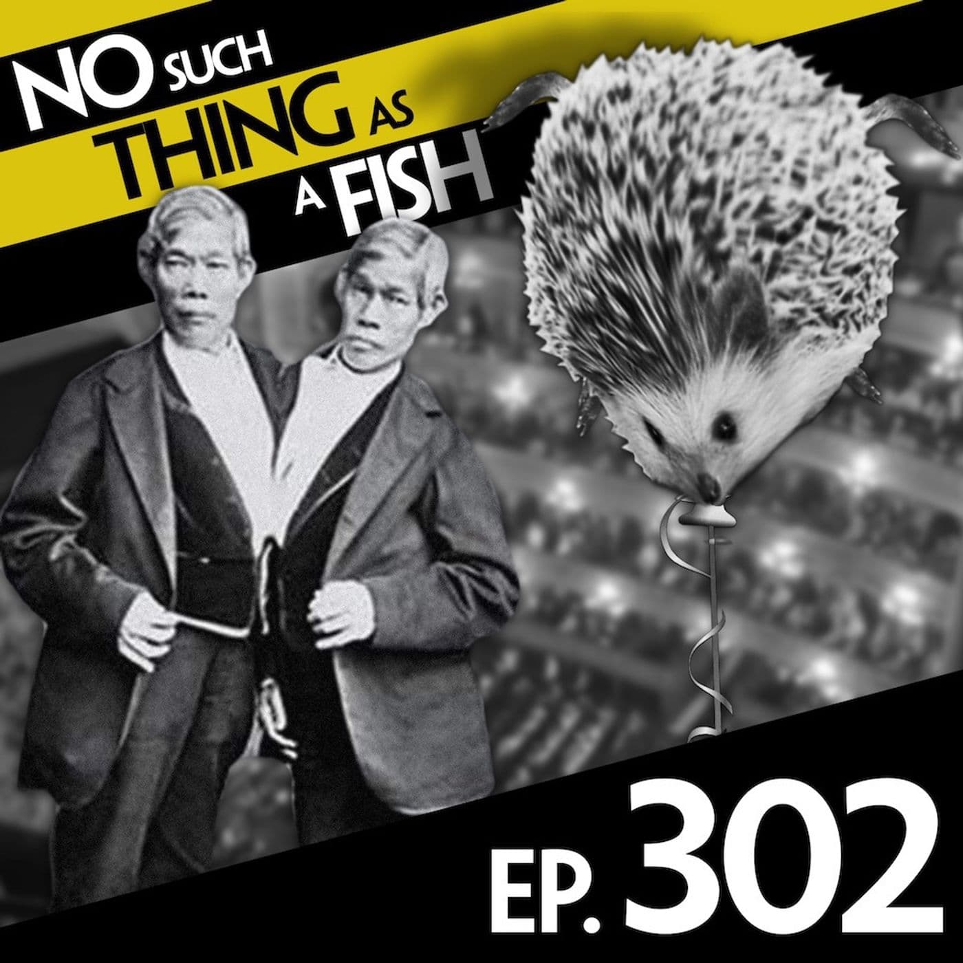 No Such Thing As A Fish podcast cover art
