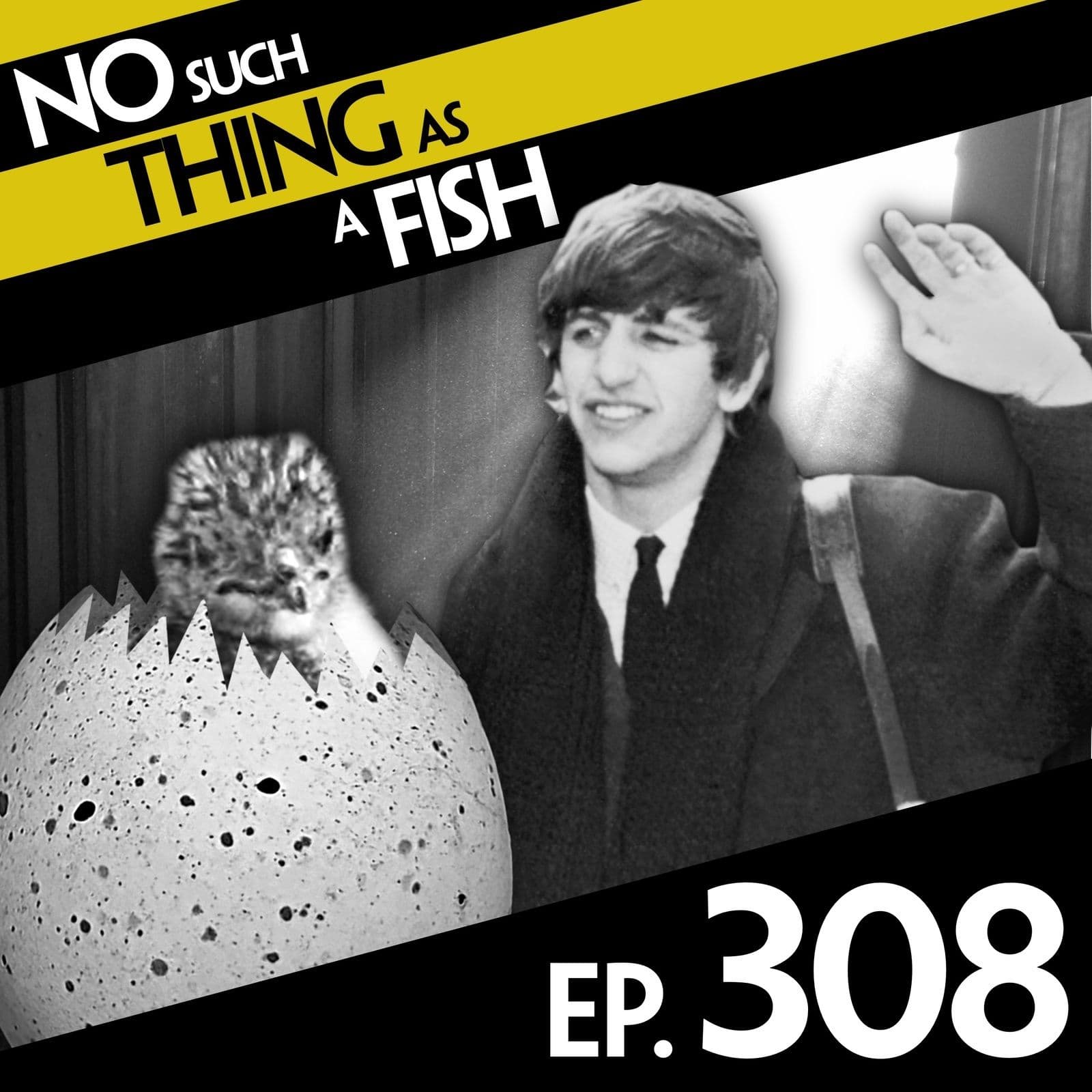 No Such Thing As A Fish podcast cover art