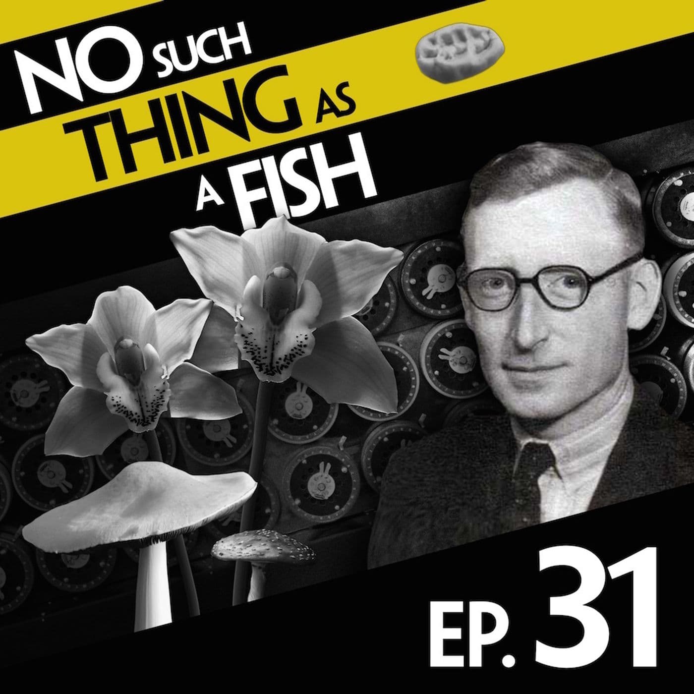 No Such Thing As A Fish podcast cover art