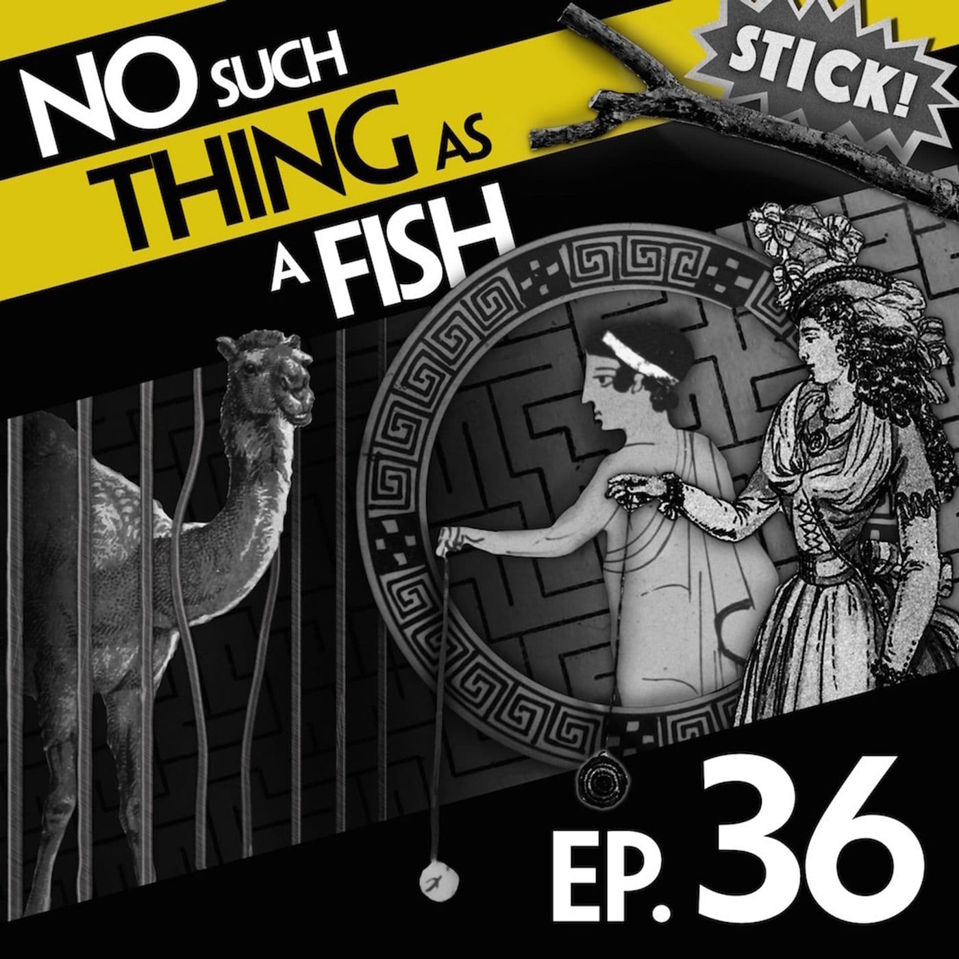 No Such Thing As A Fish podcast cover art