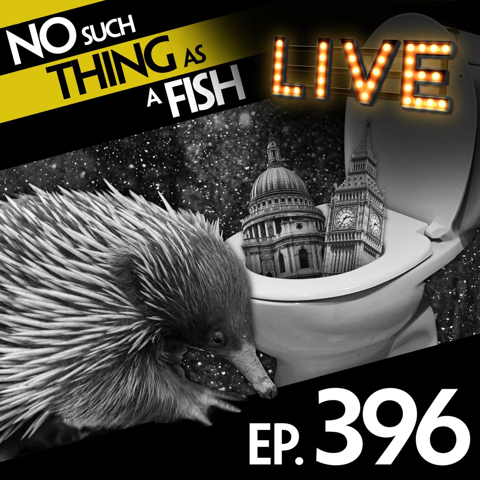 No Such Thing As A Fish podcast cover art