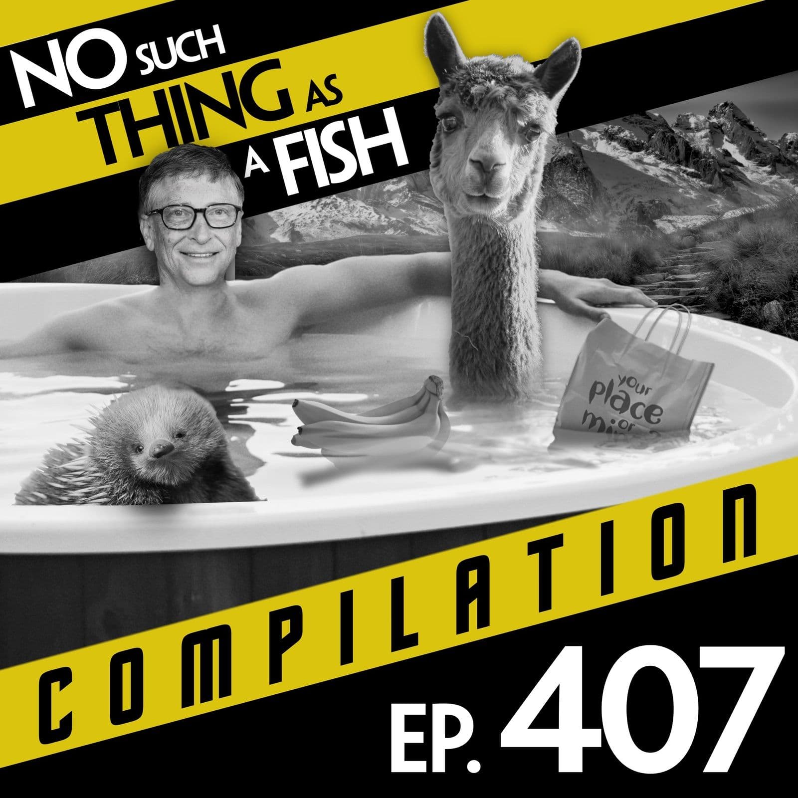 No Such Thing As A Fish podcast cover art
