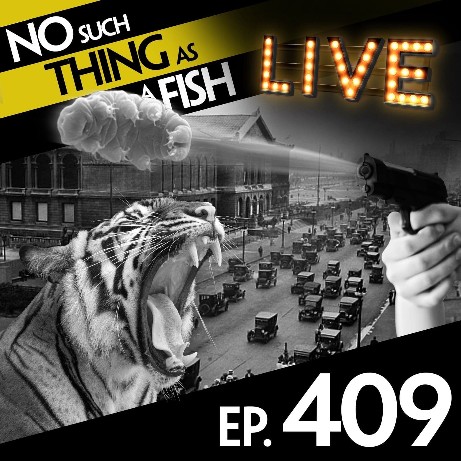 No Such Thing As A Fish podcast cover art