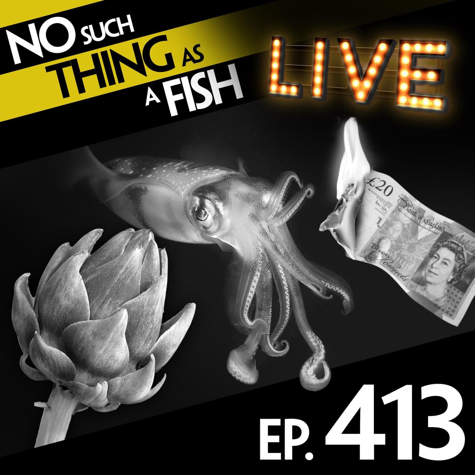 No Such Thing As A Fish podcast cover art