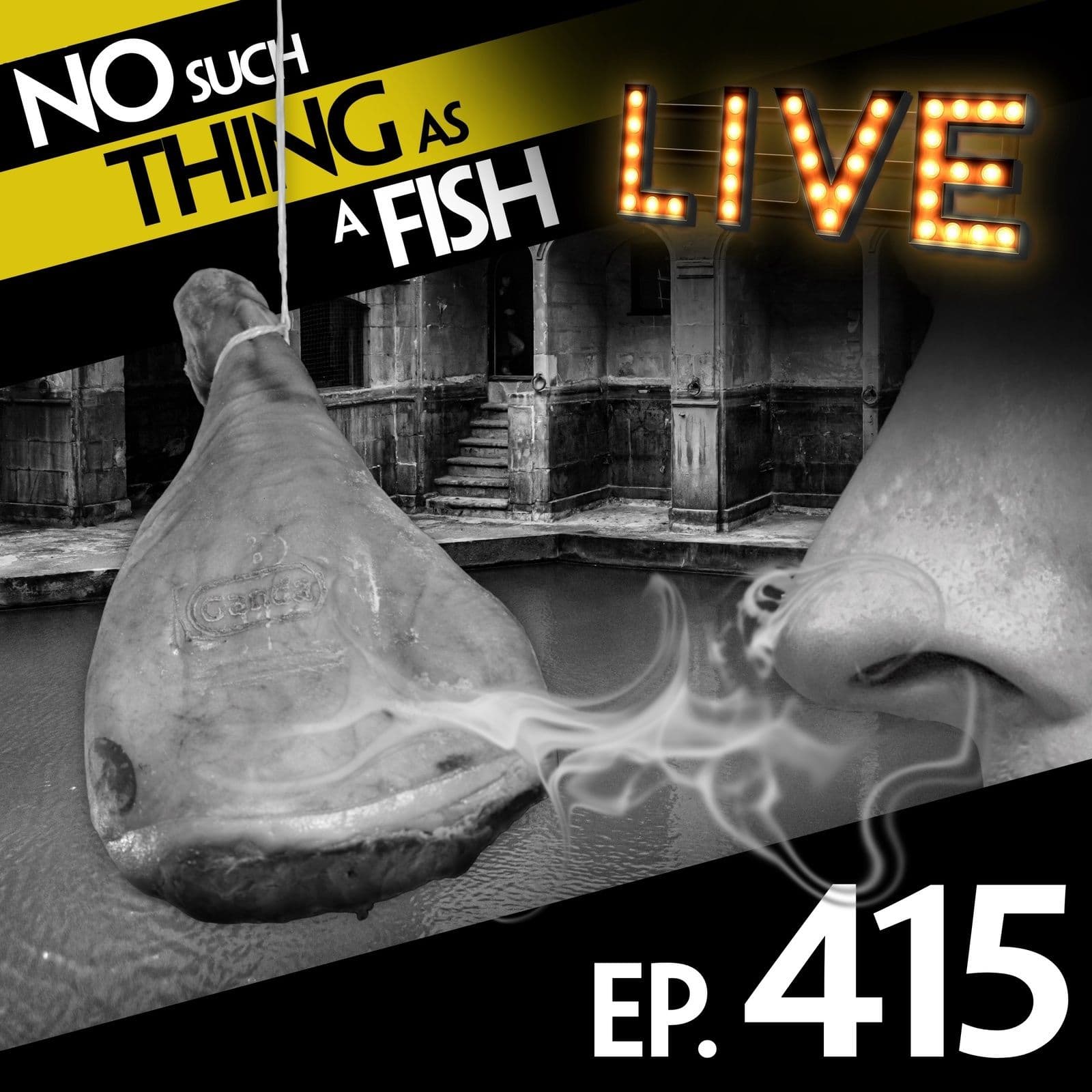 No Such Thing As A Fish podcast cover art