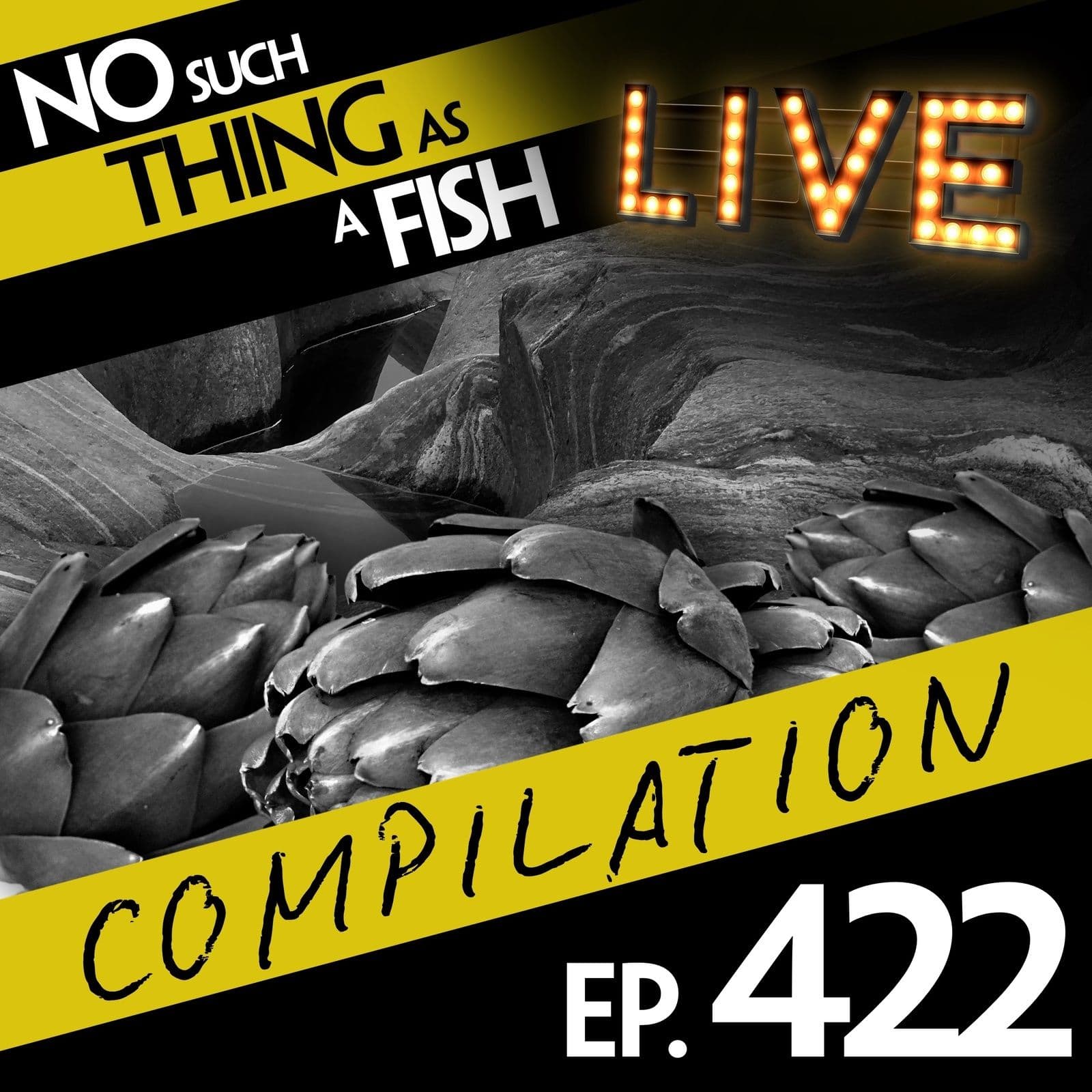 No Such Thing As A Fish podcast cover art