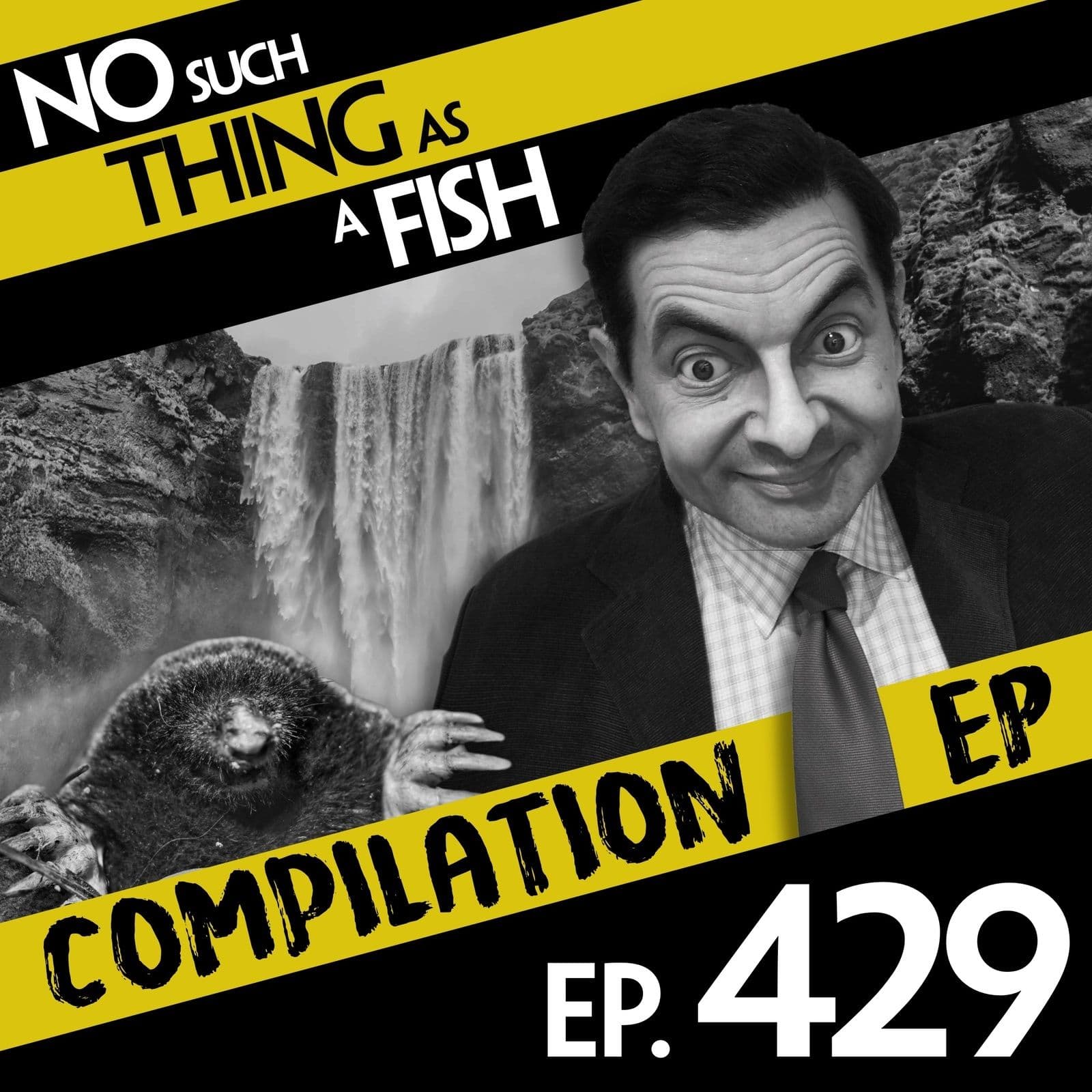 No Such Thing As A Fish podcast cover art