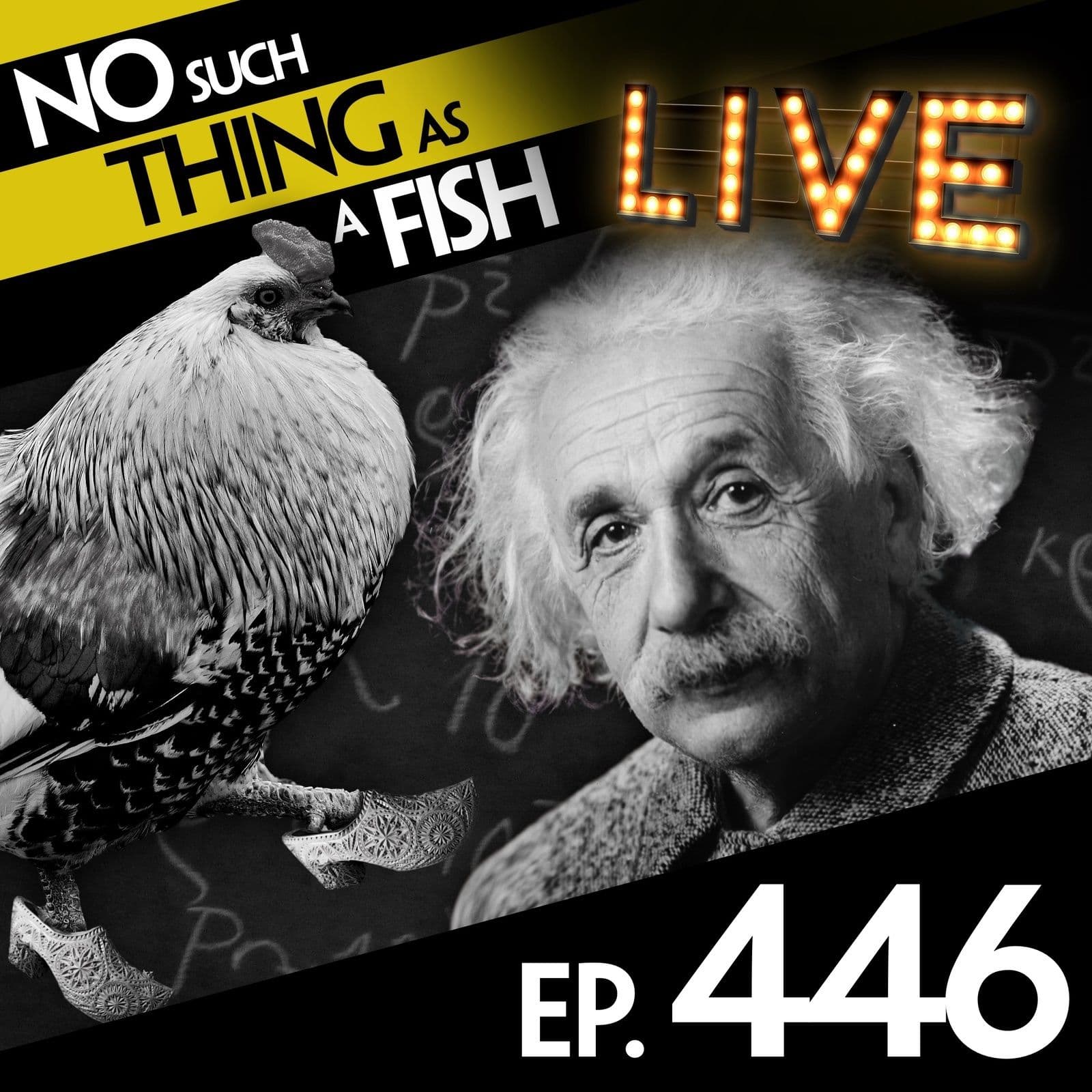 No Such Thing As A Fish podcast cover art