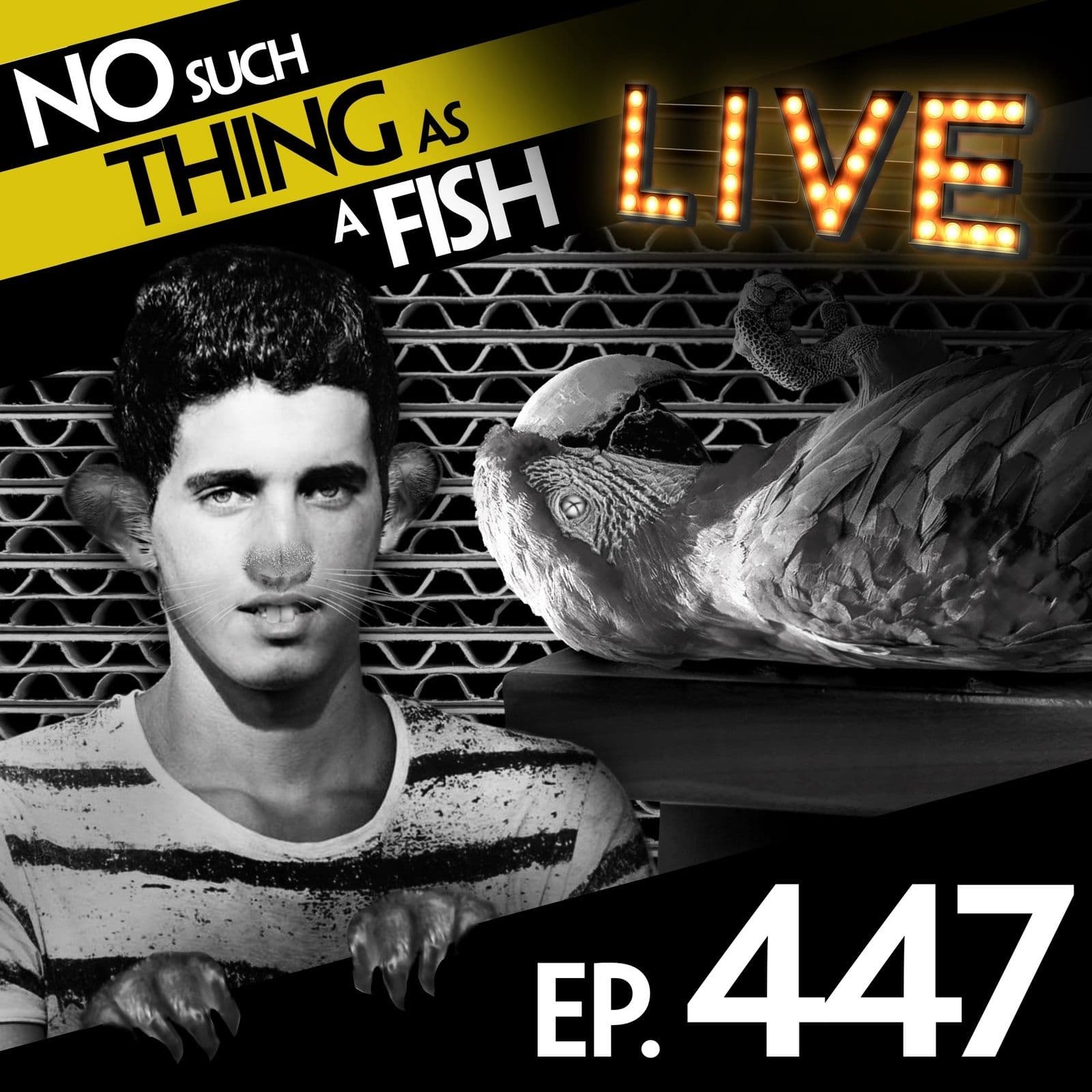 No Such Thing As A Fish podcast cover art