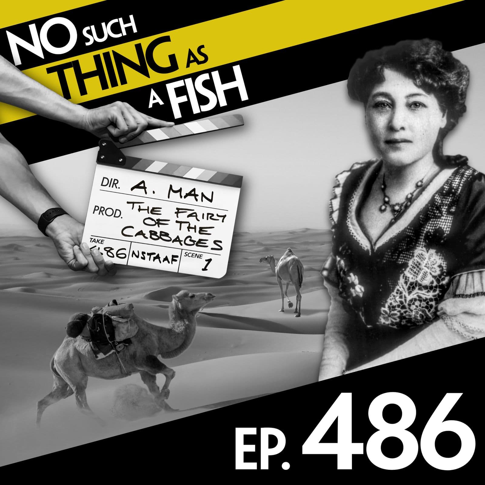 No Such Thing As A Fish podcast cover art