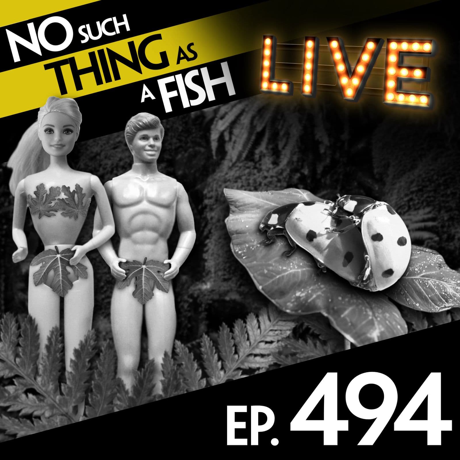 No Such Thing As A Fish podcast cover art