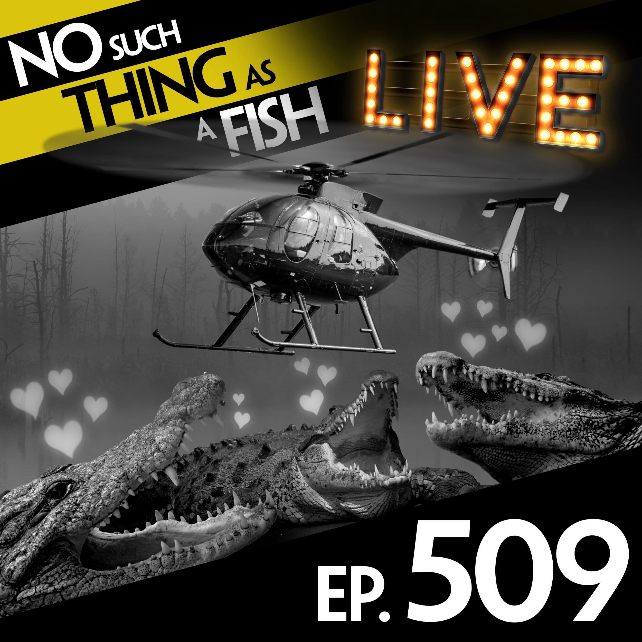 No Such Thing As A Fish podcast cover art