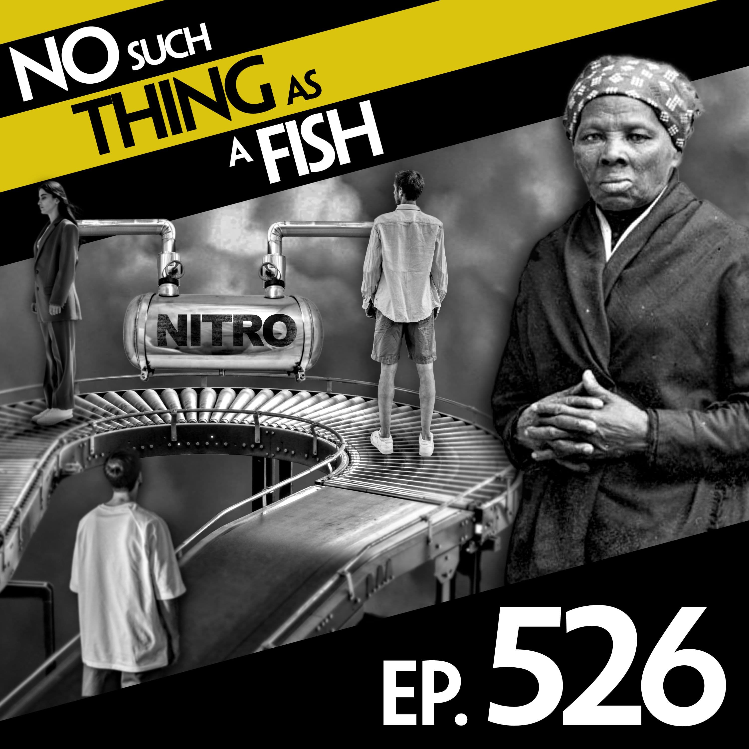 No Such Thing As A Fish podcast cover art