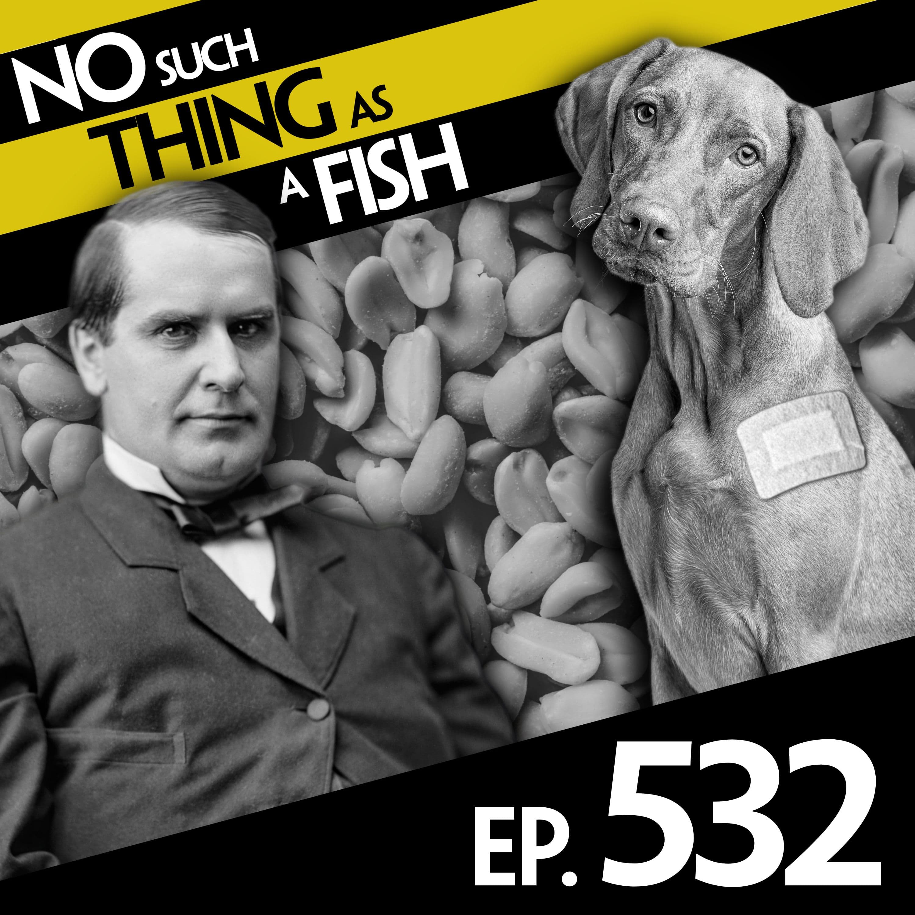 No Such Thing As A Fish podcast cover art