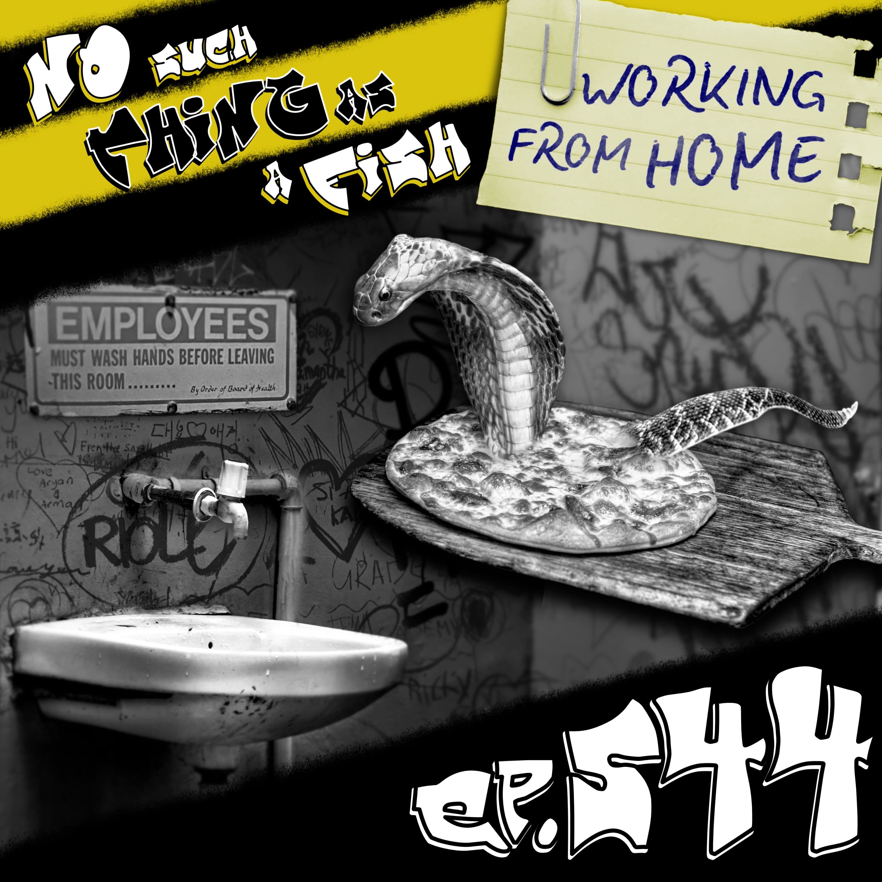 No Such Thing As A Fish podcast cover art