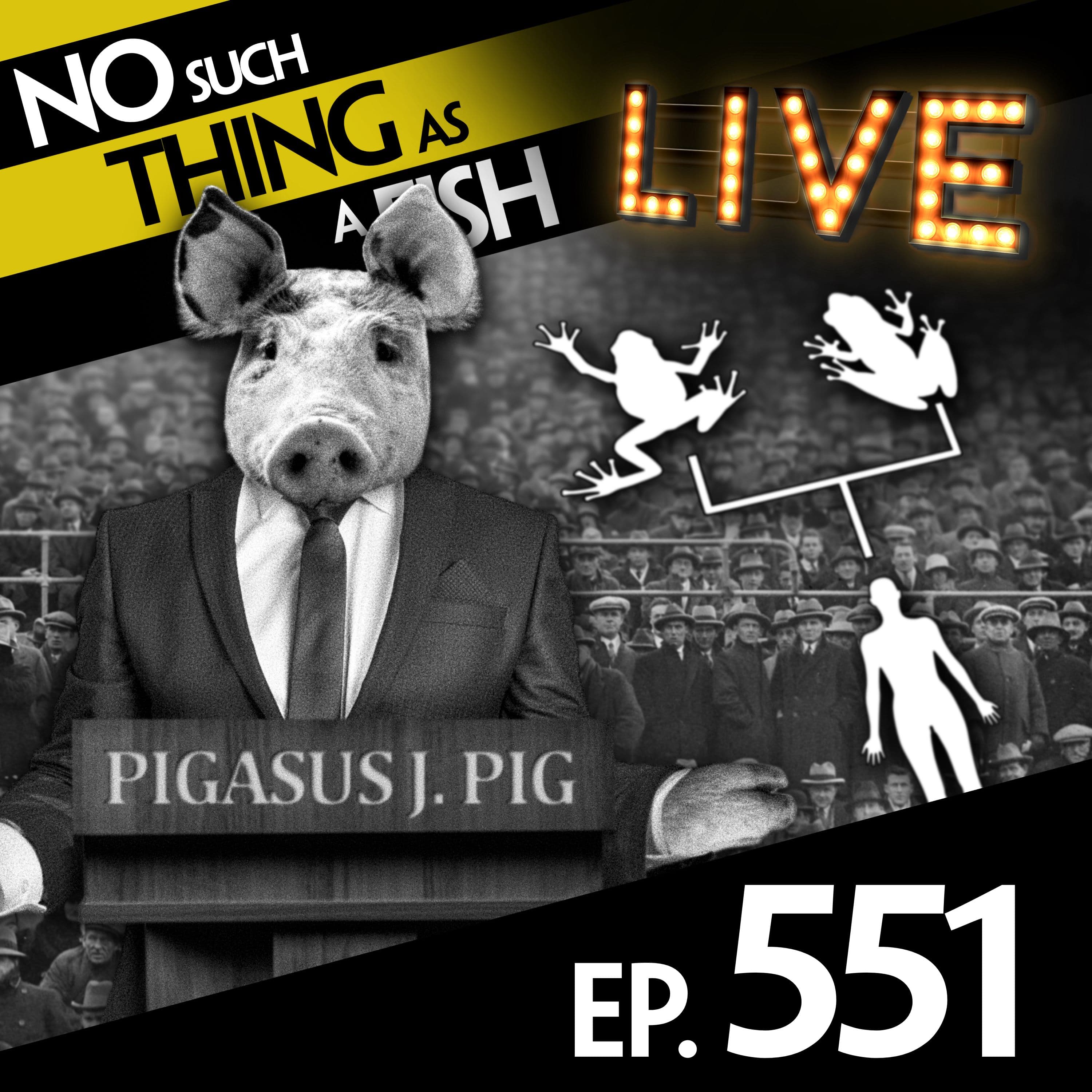 No Such Thing As A Fish podcast cover art