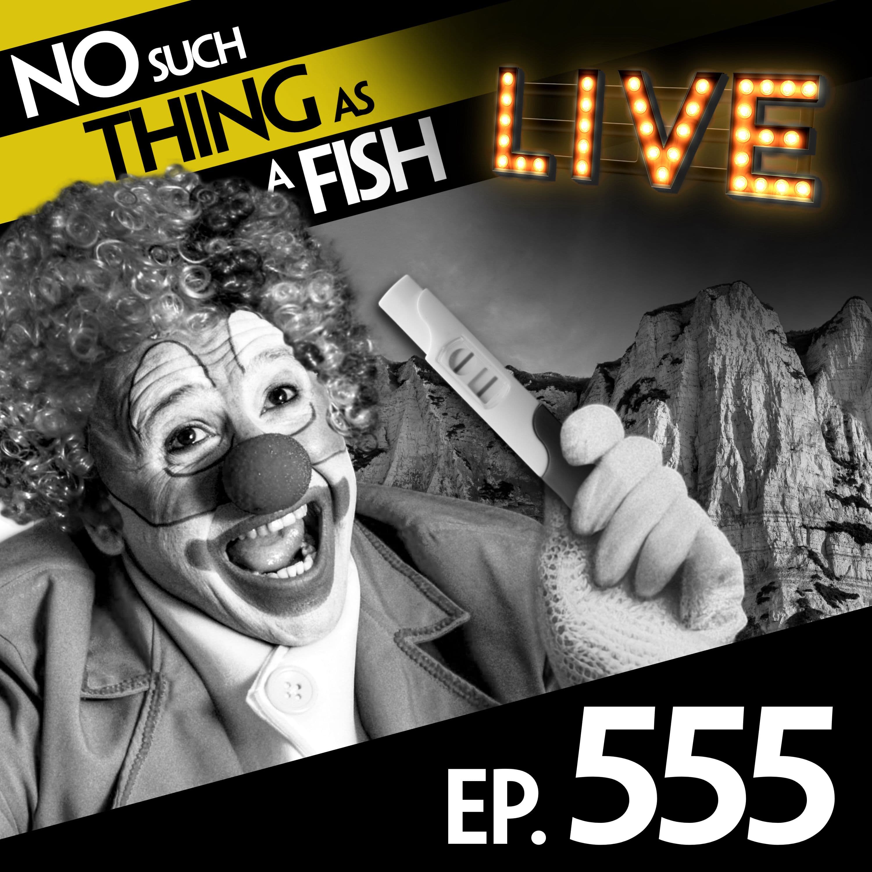 No Such Thing As A Fish podcast cover art