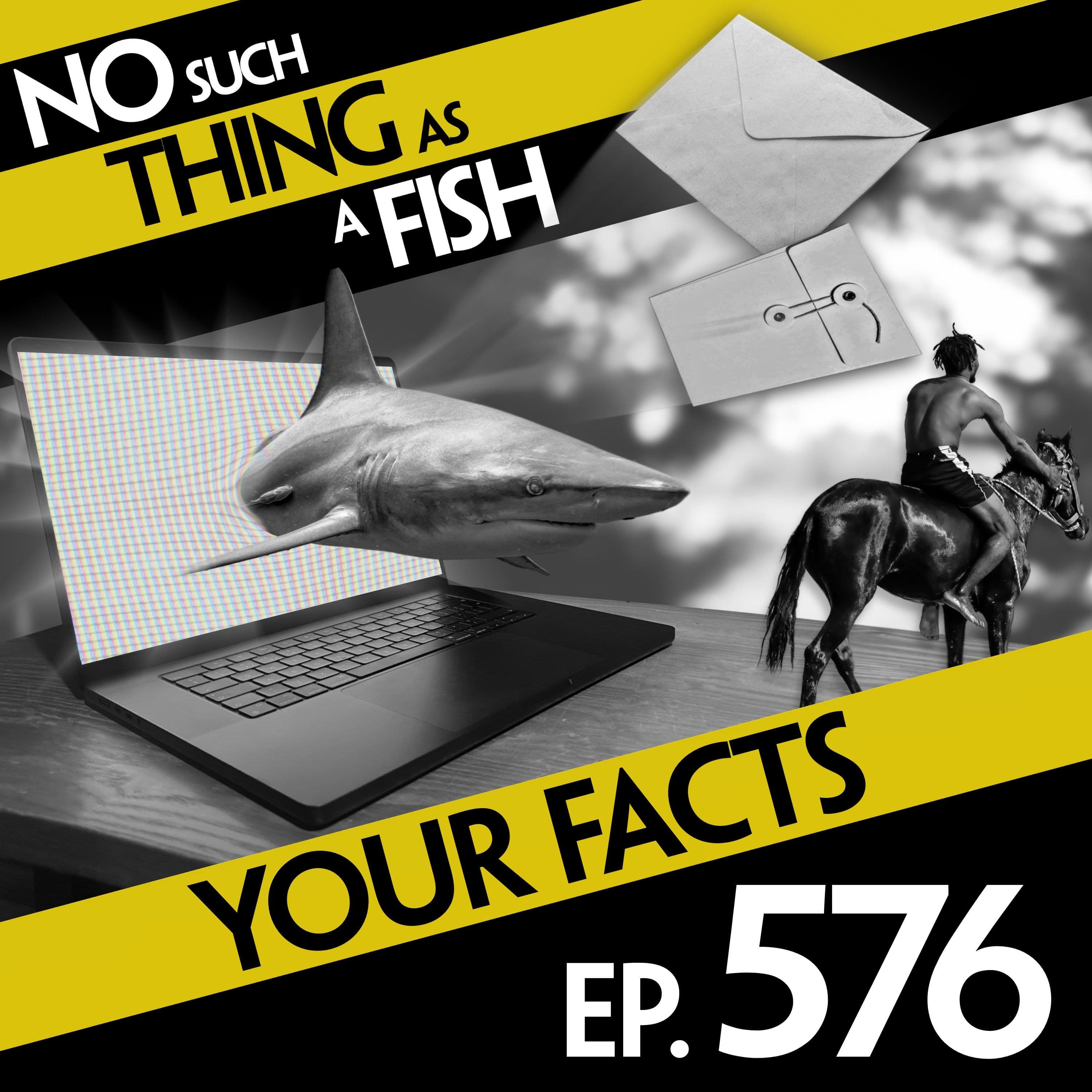 No Such Thing As A Fish podcast cover art