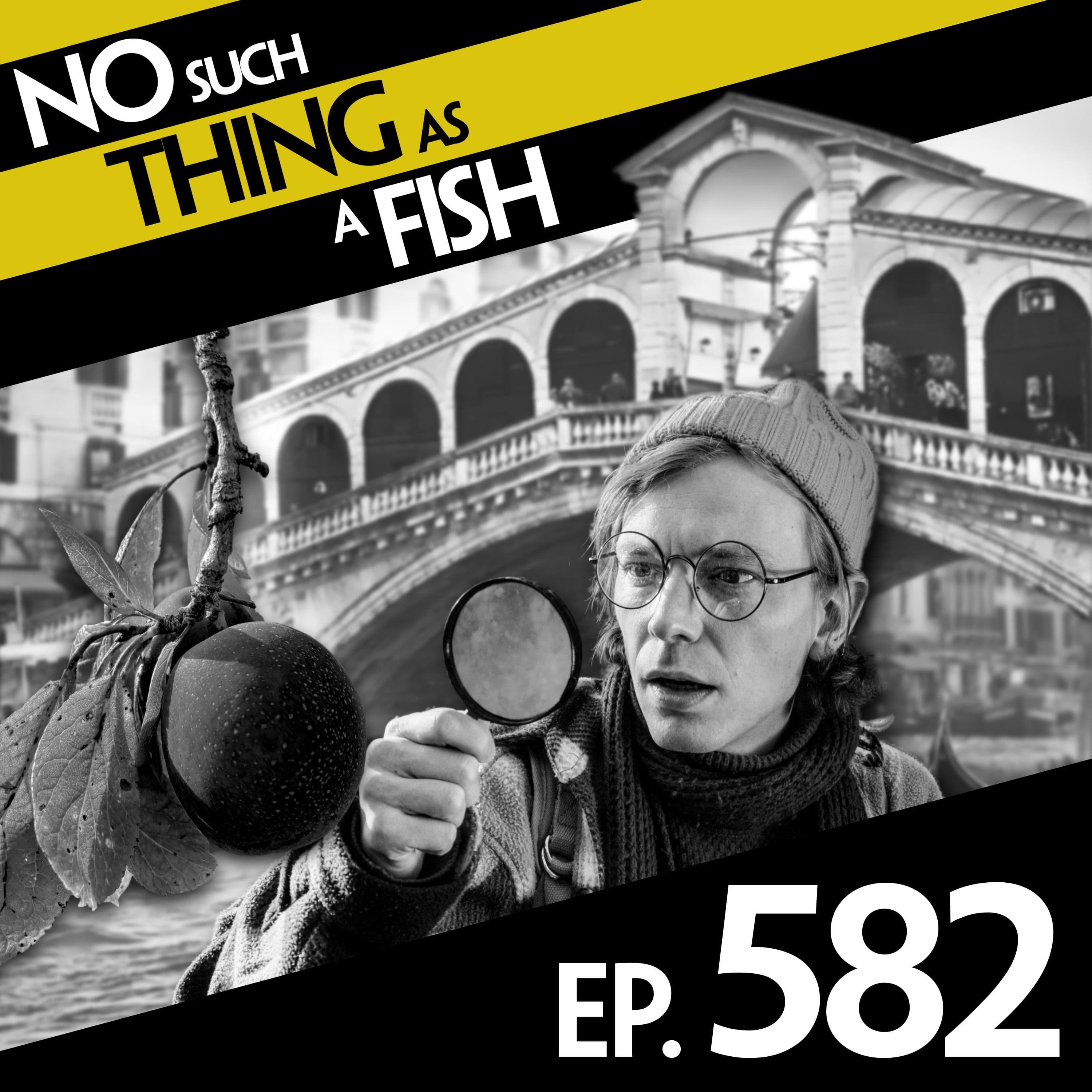 No Such Thing As A Fish podcast cover art