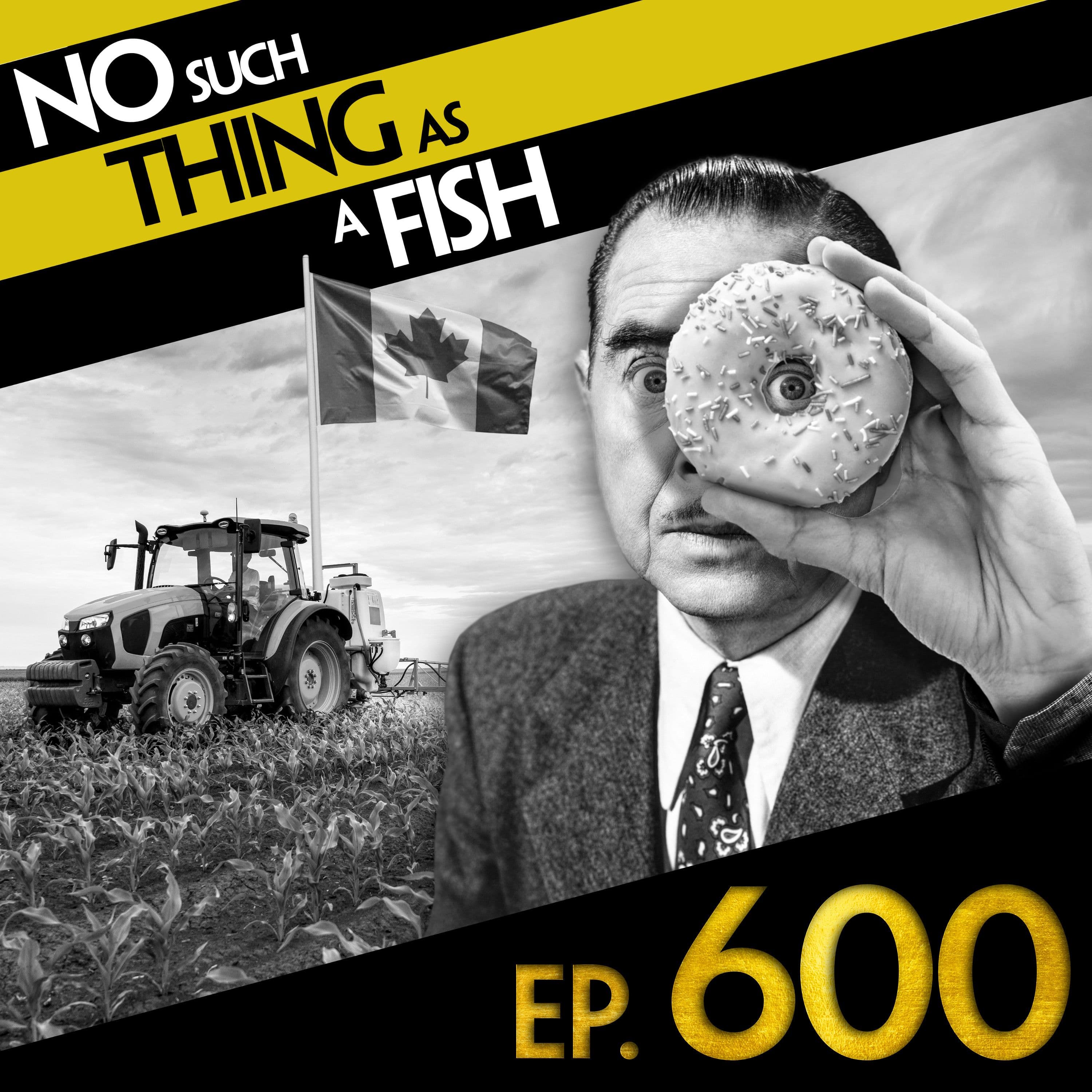 No Such Thing As A Fish podcast cover art