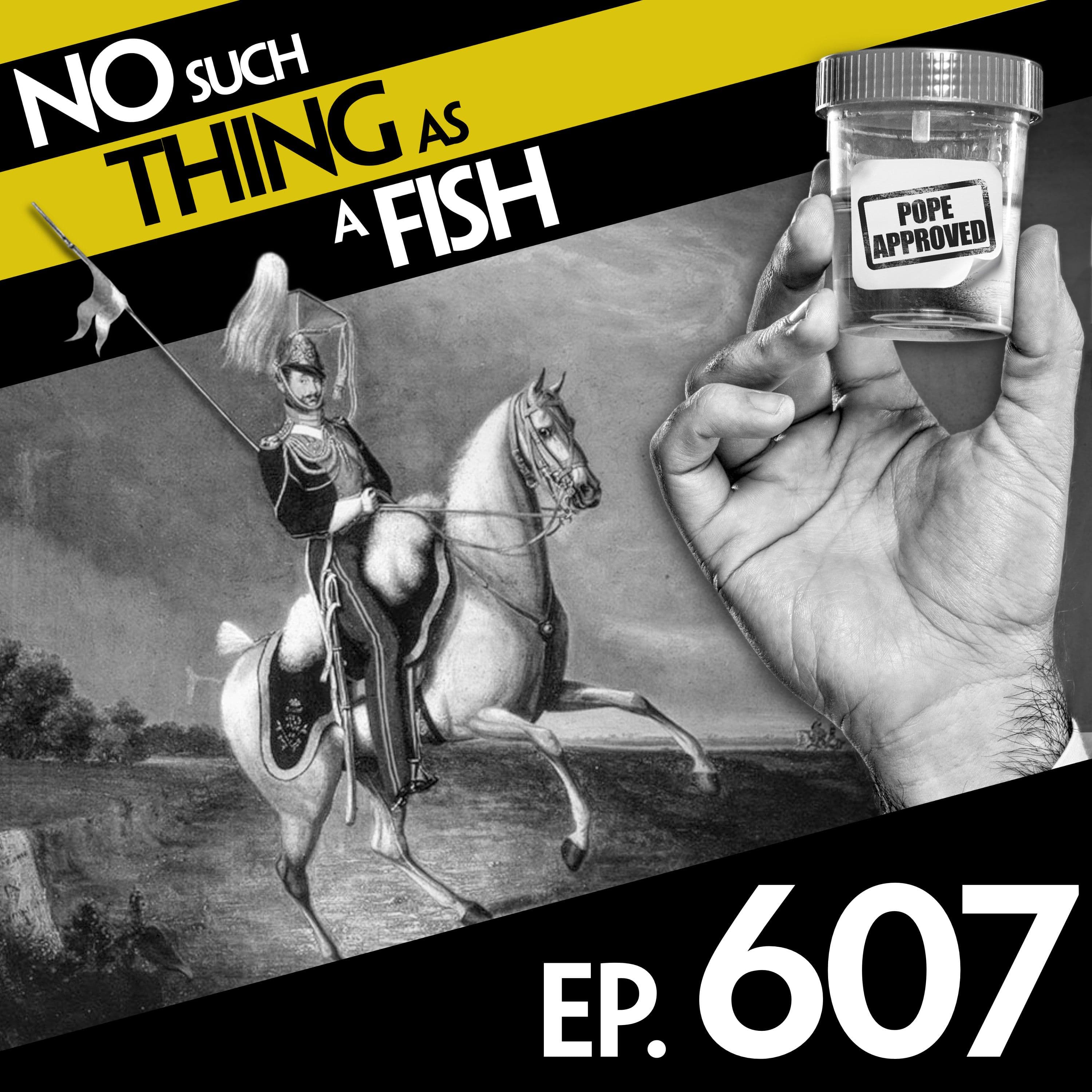 No Such Thing As A Fish podcast cover art