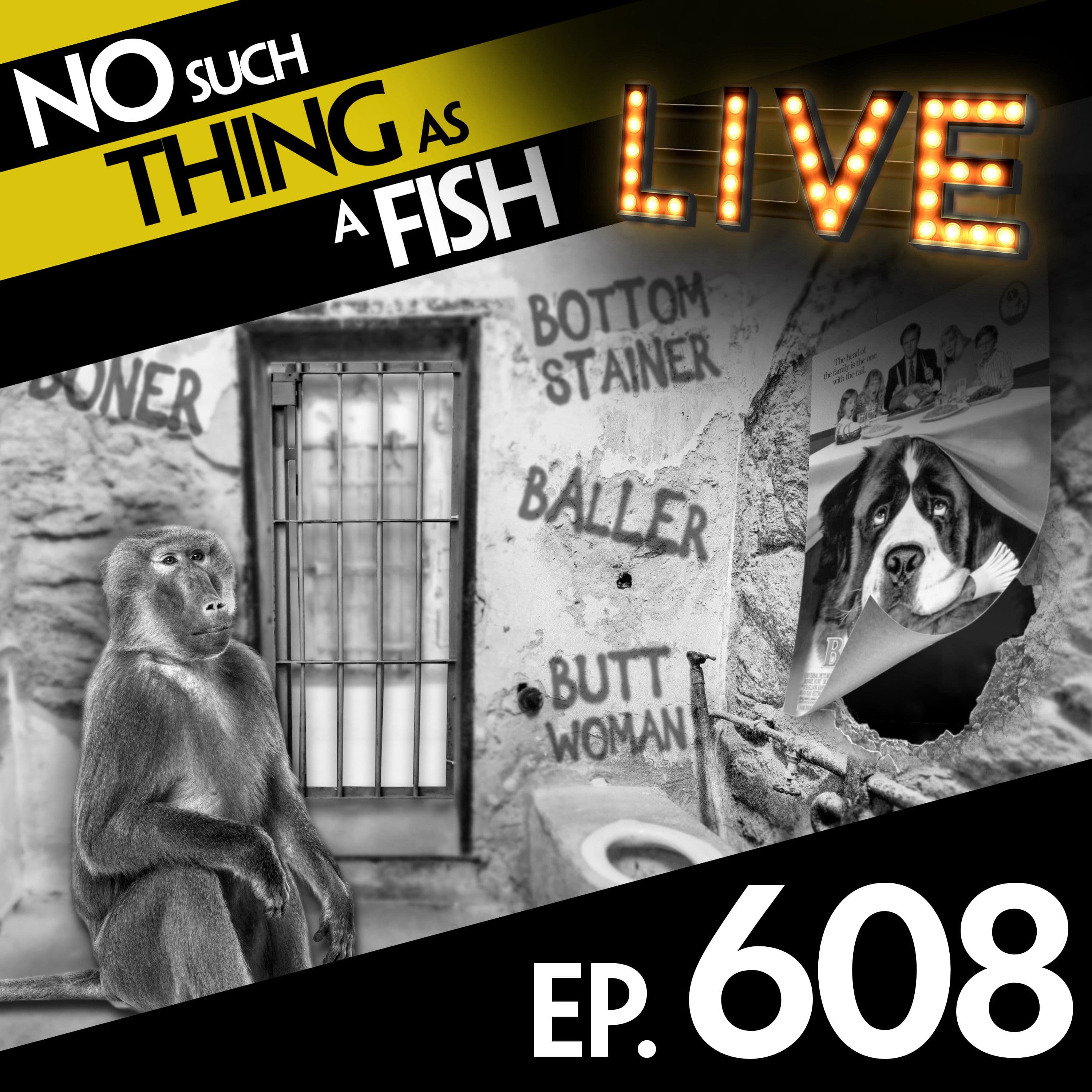 No Such Thing As A Fish podcast cover art
