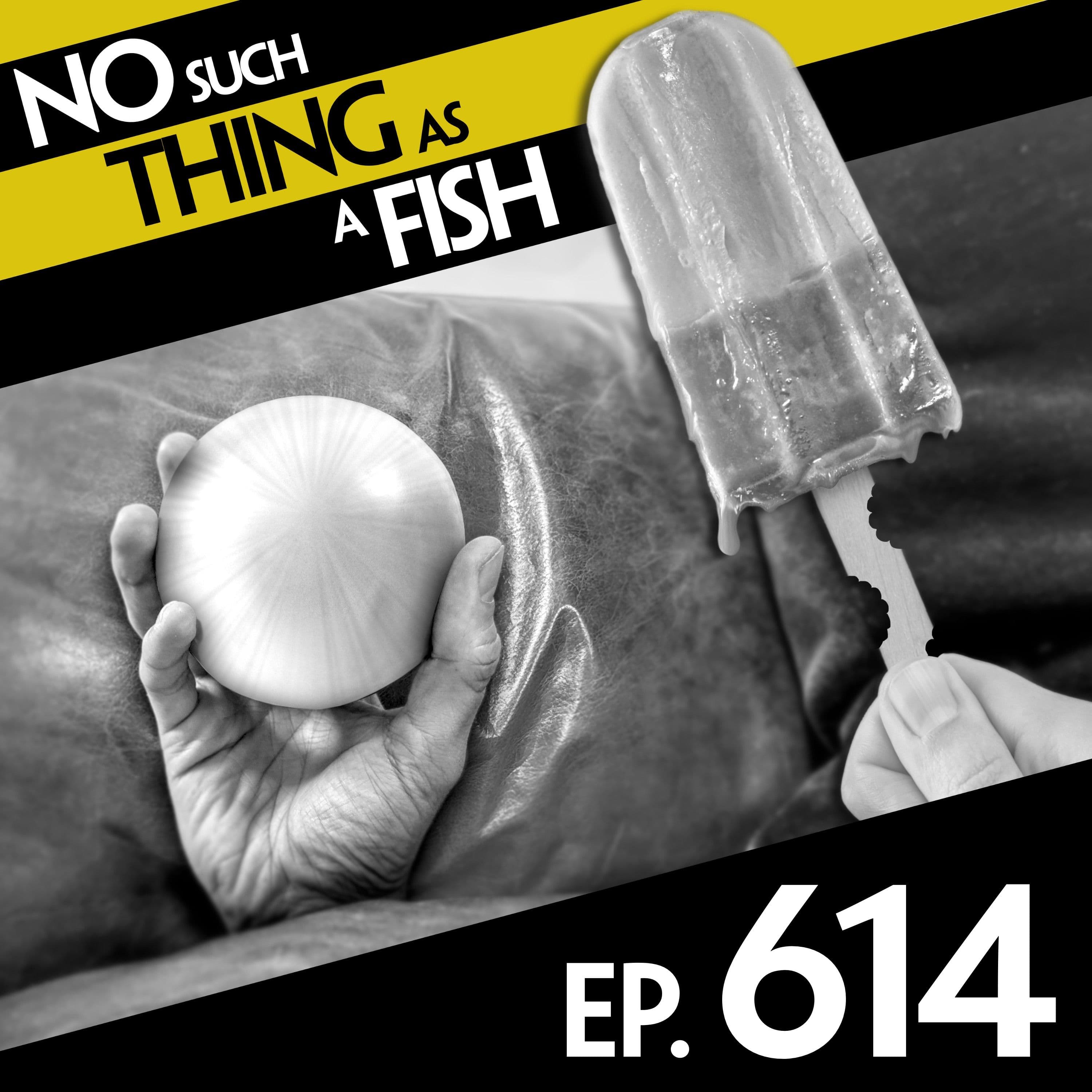 No Such Thing As A Fish podcast cover art