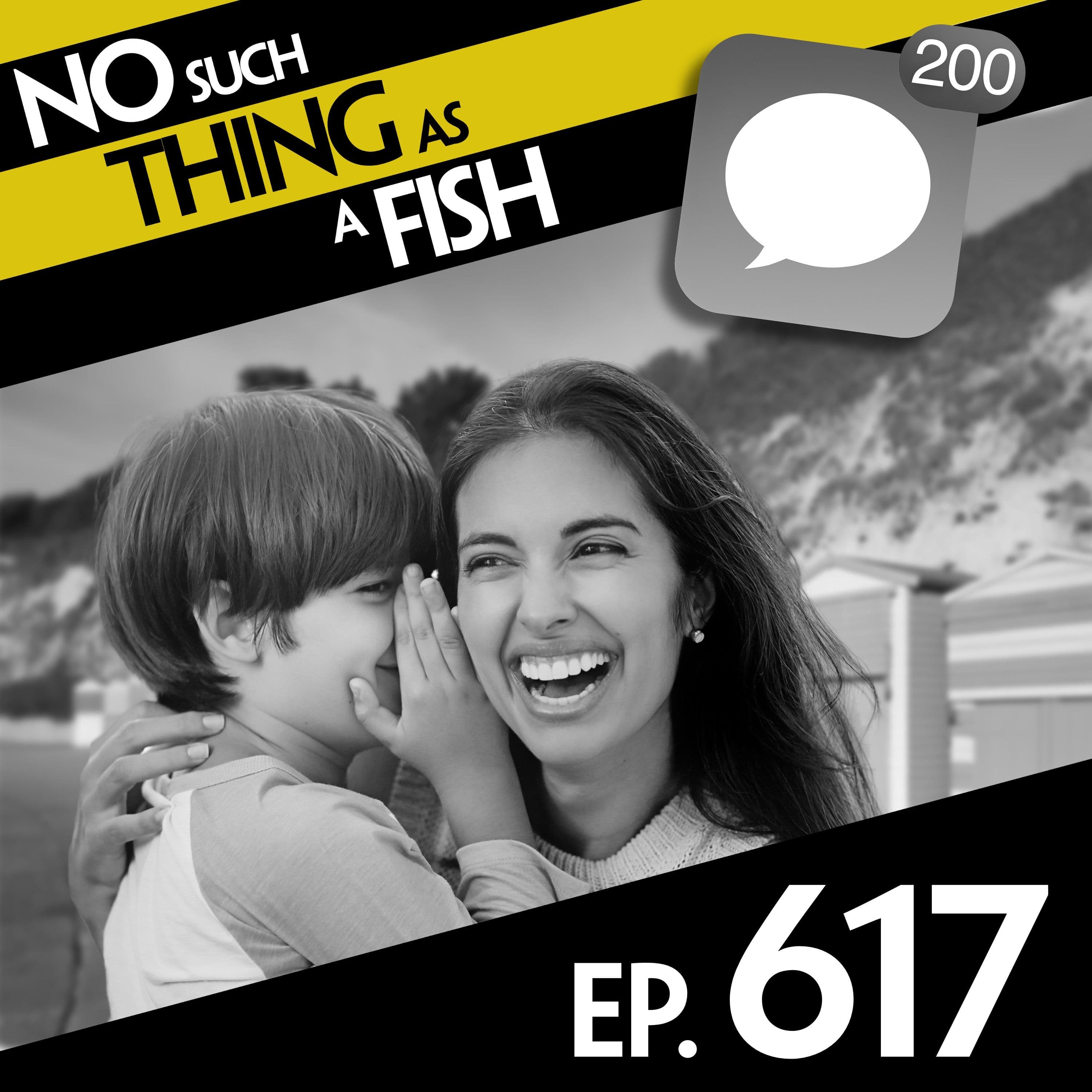 No Such Thing As A Fish podcast cover art