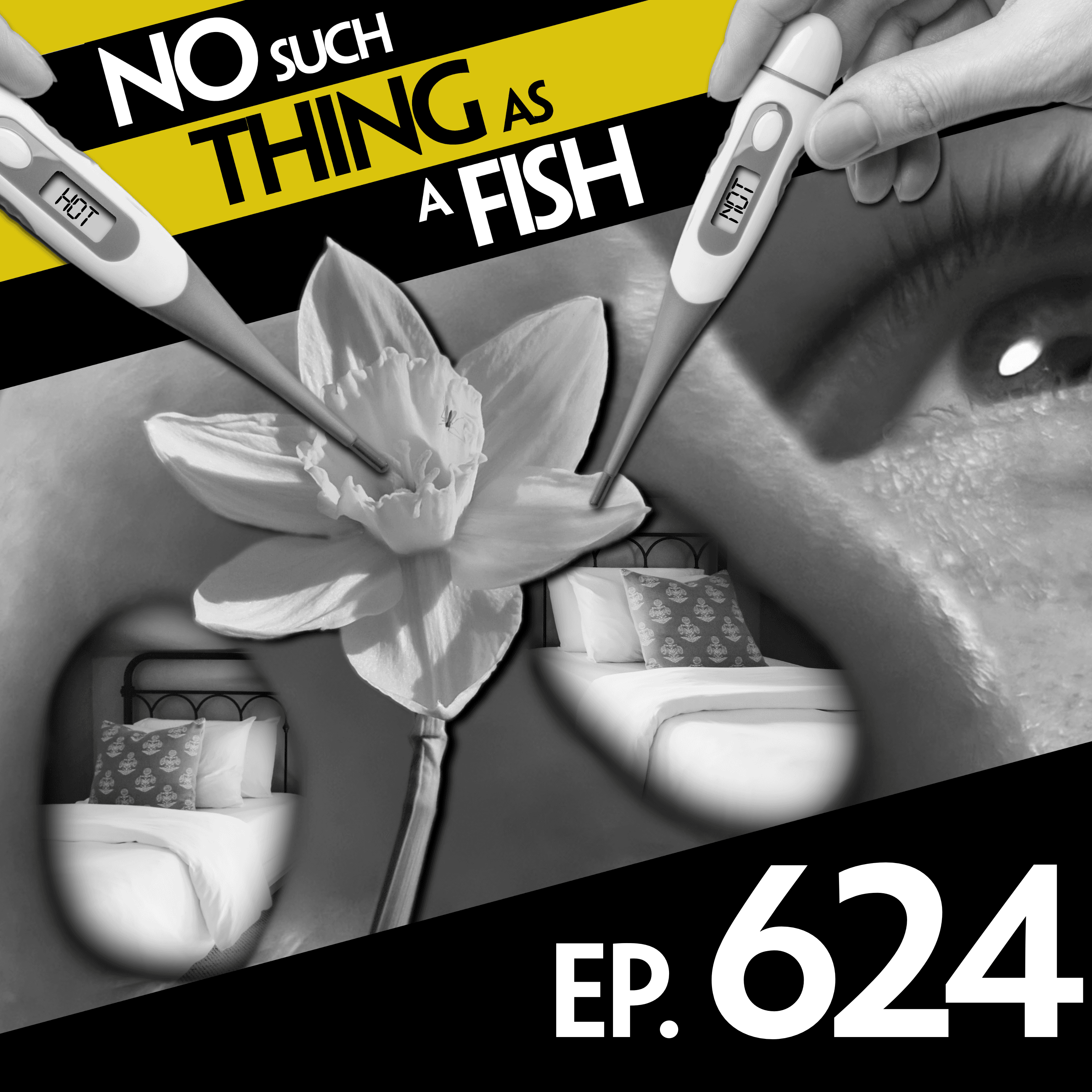No Such Thing As A Fish podcast cover art