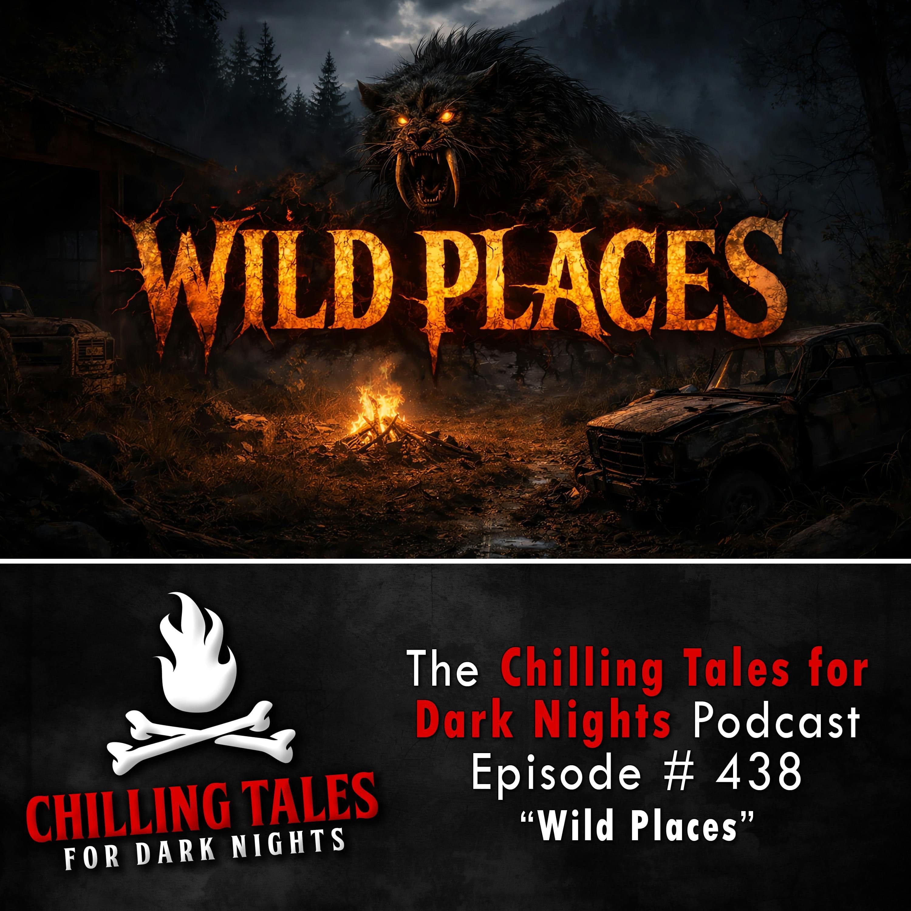 Chilling Tales for Dark Nights — A Horror Fiction Anthology and Scary Stories Series Podcast cover art