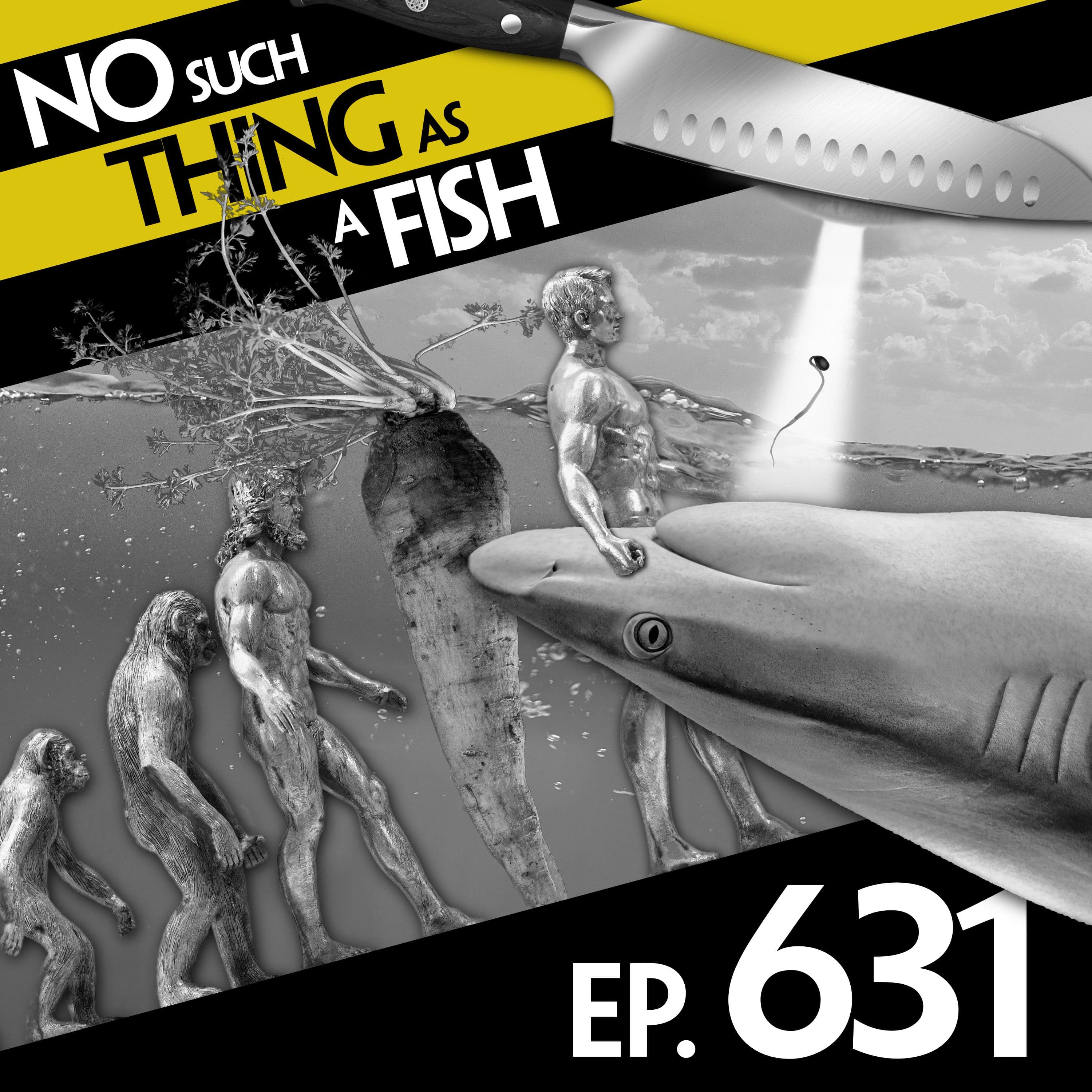 No Such Thing As A Fish podcast cover art