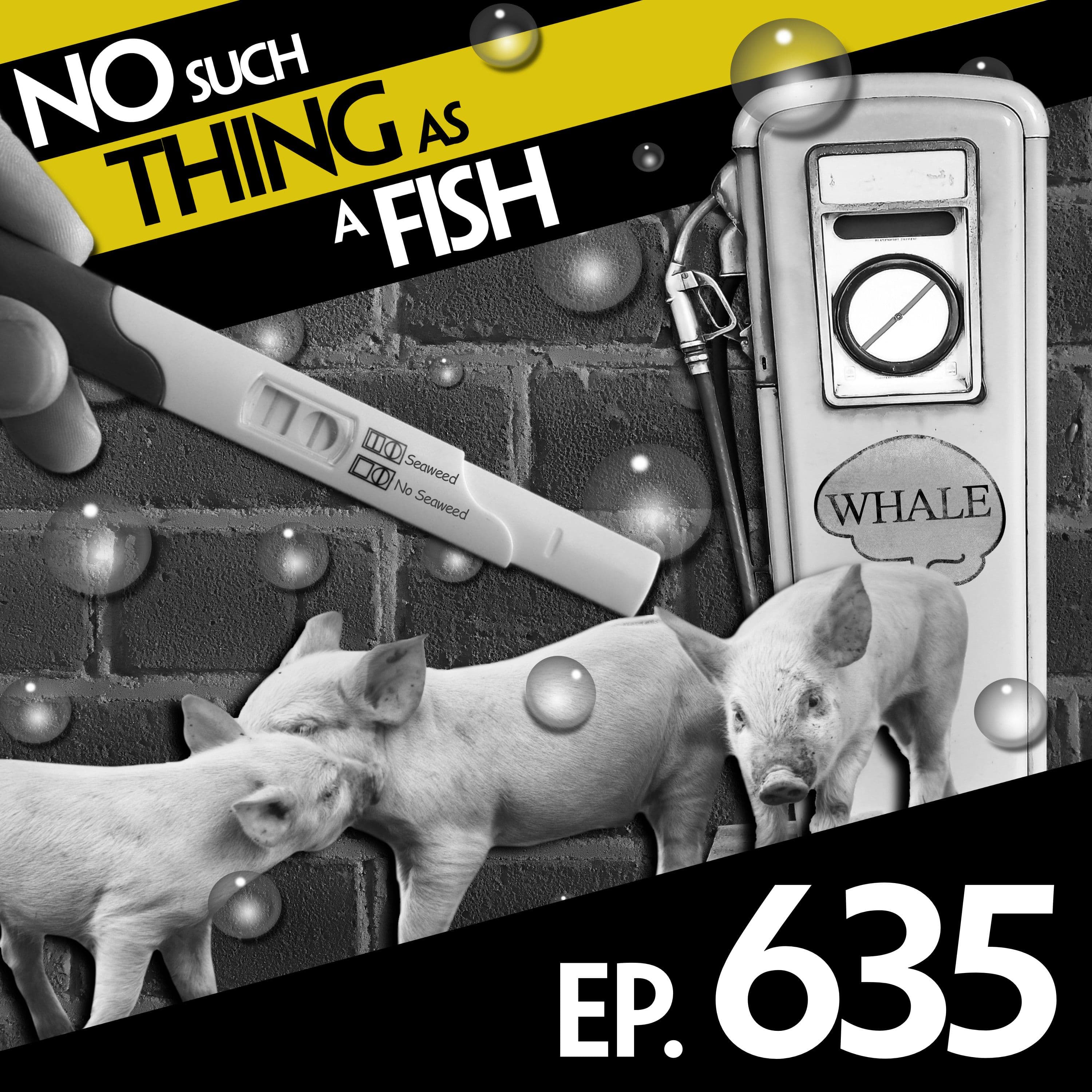 No Such Thing As A Fish podcast cover art