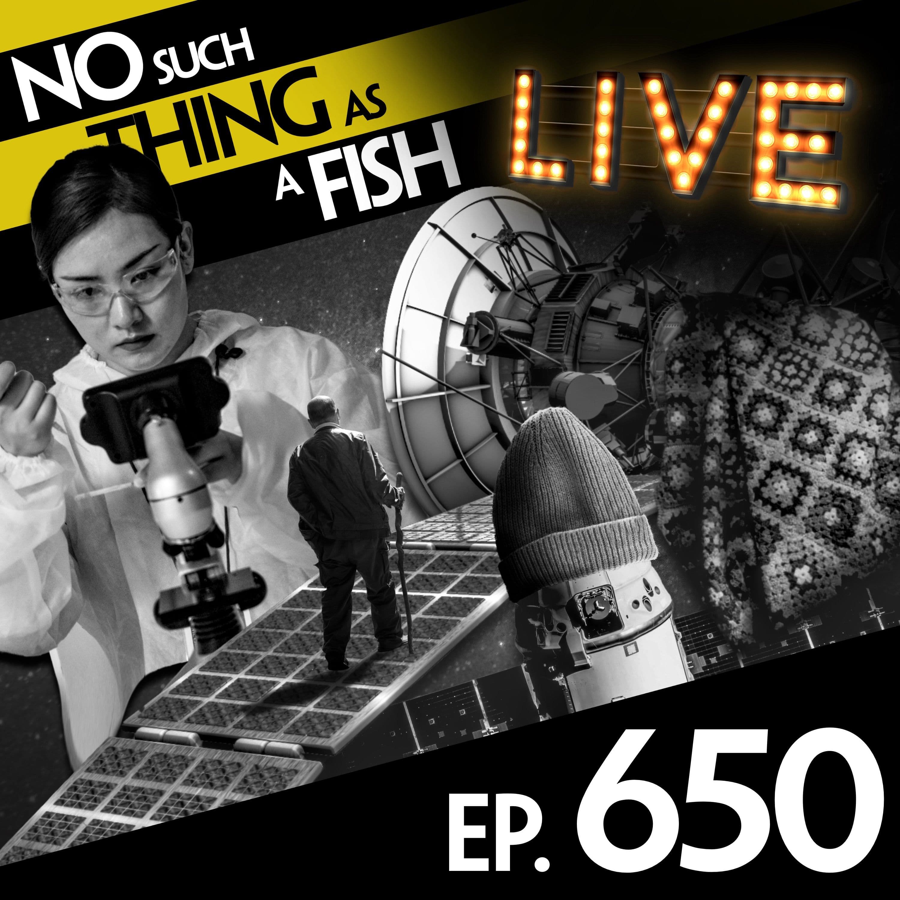No Such Thing As A Fish podcast cover art