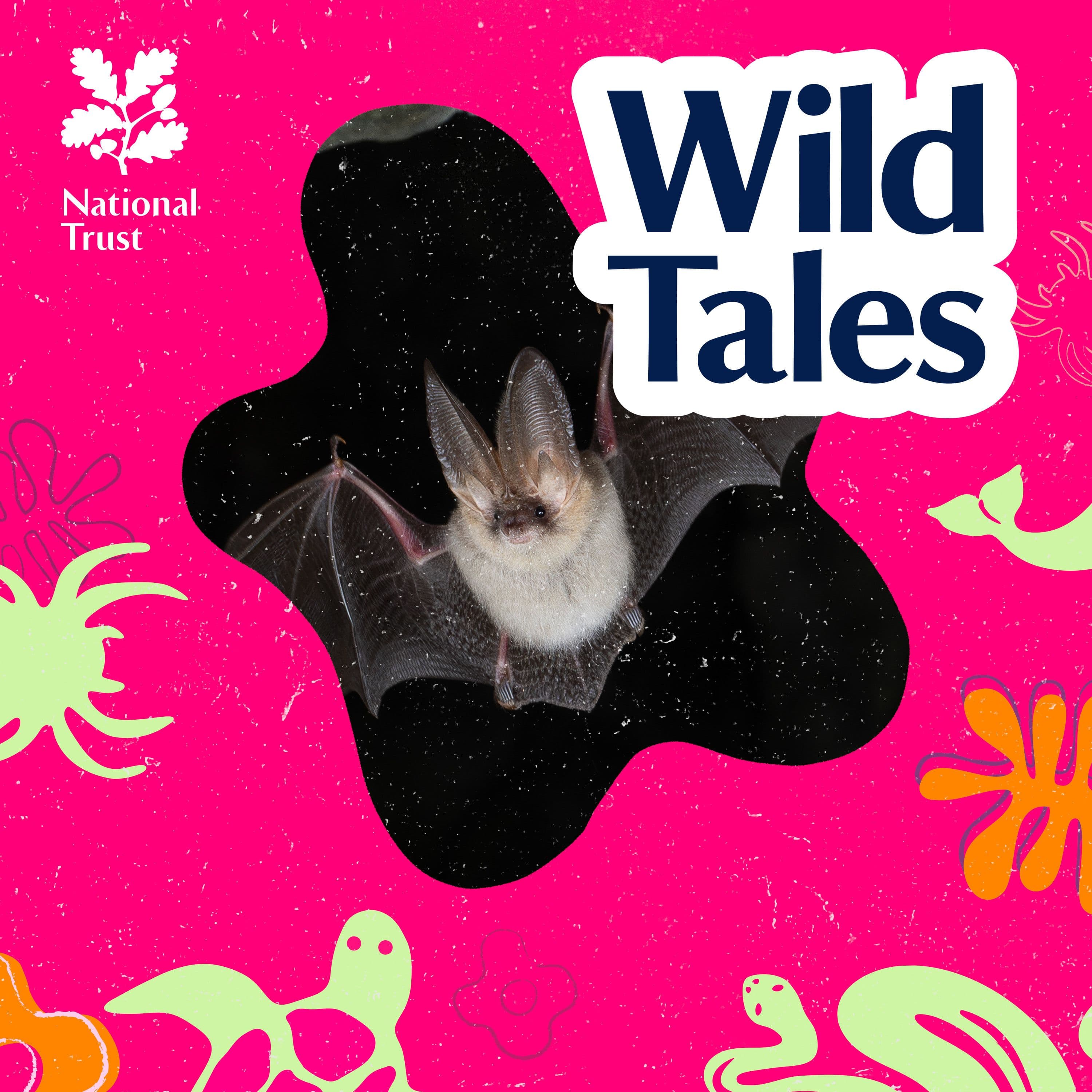 Wild Tales | Nature Podcast cover art