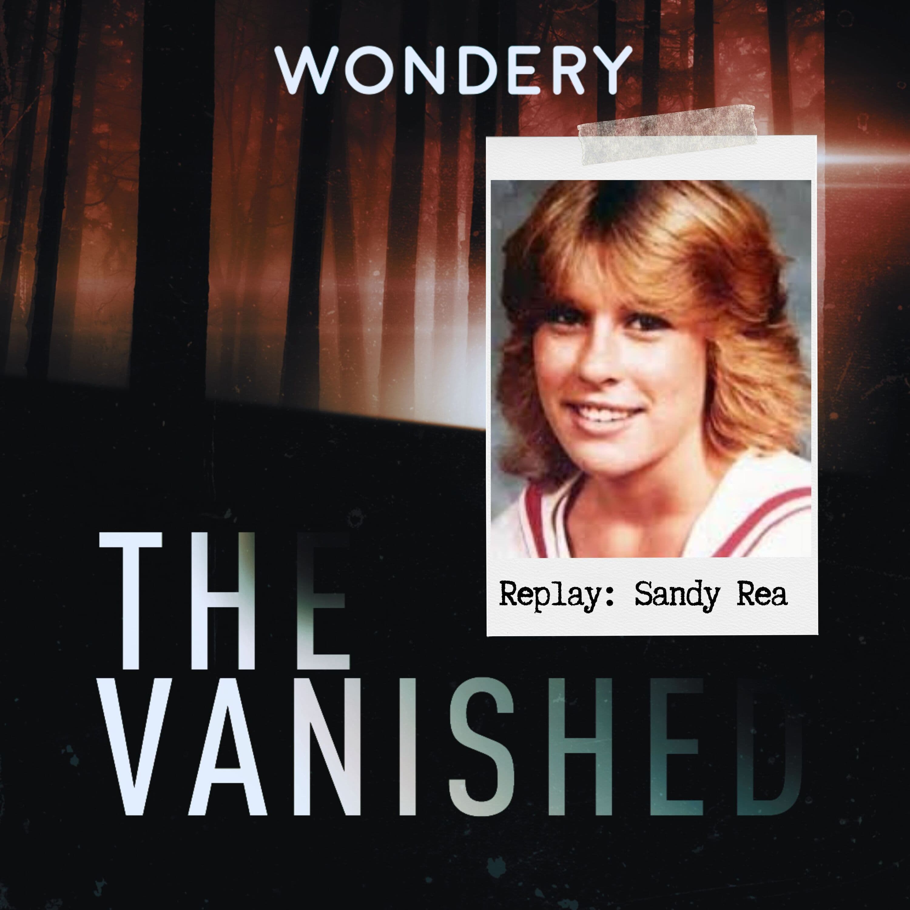 The Vanished Podcast cover art