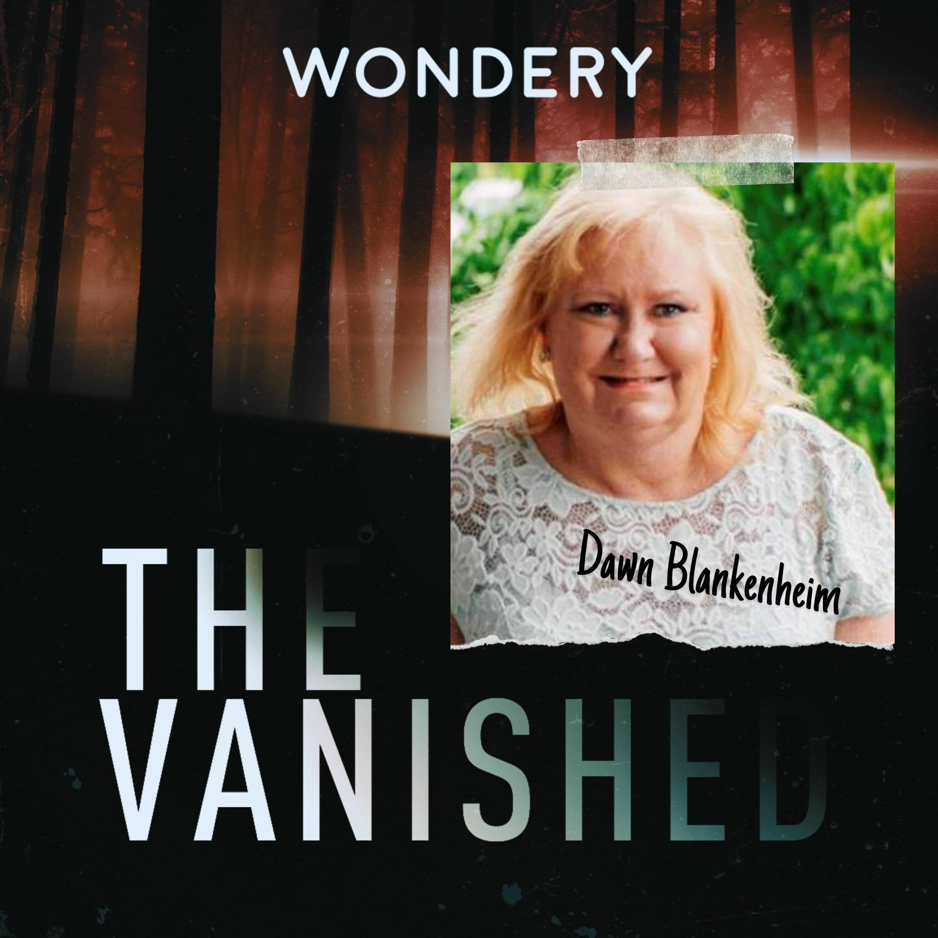 The Vanished Podcast cover art