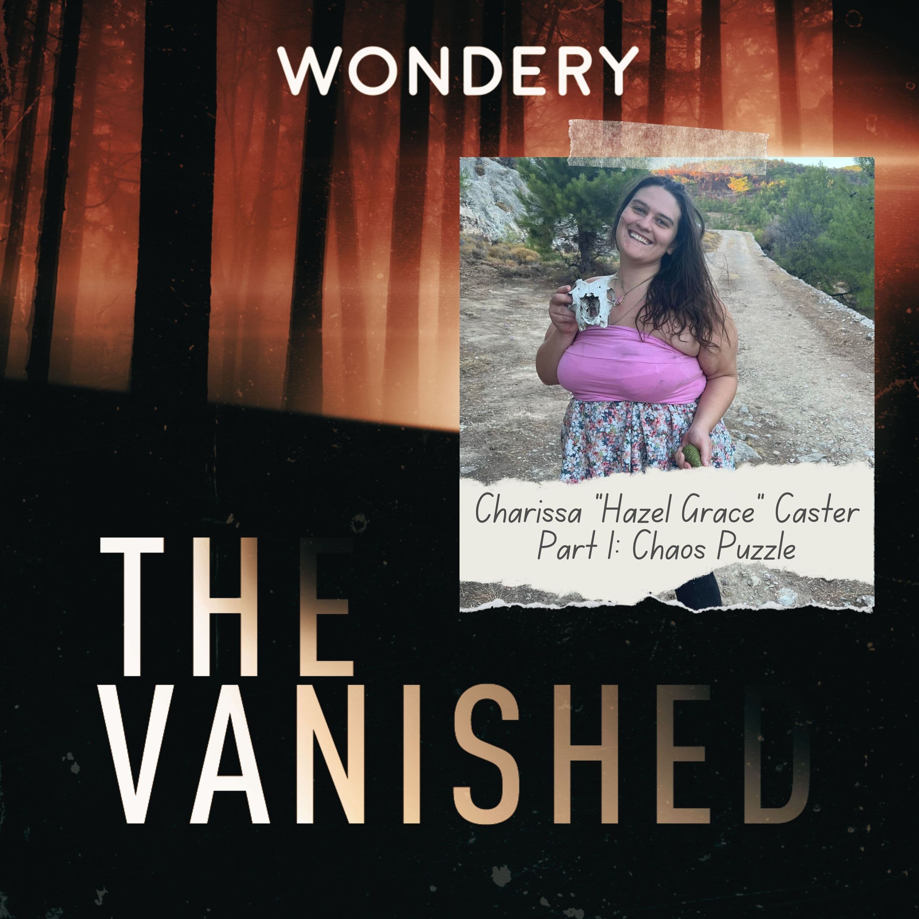 The Vanished Podcast cover art