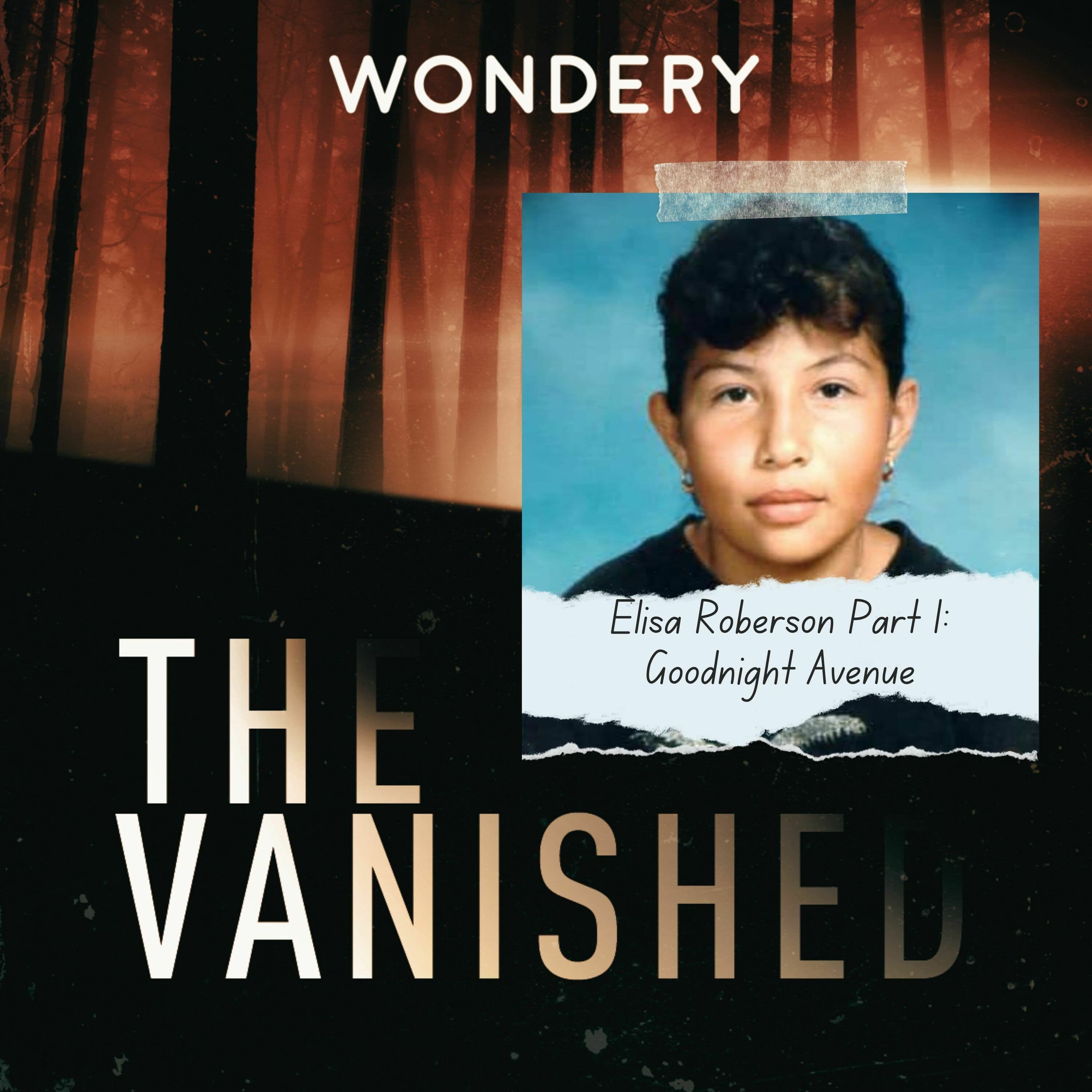 The Vanished Podcast cover art