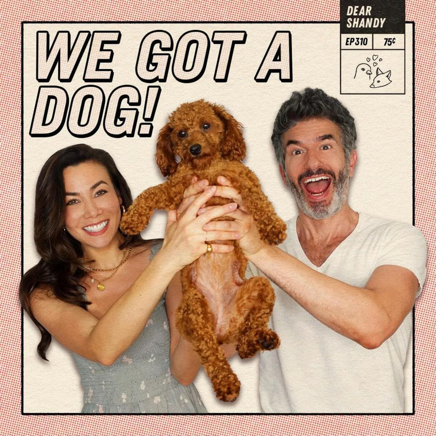 Dear Shandy podcast cover art