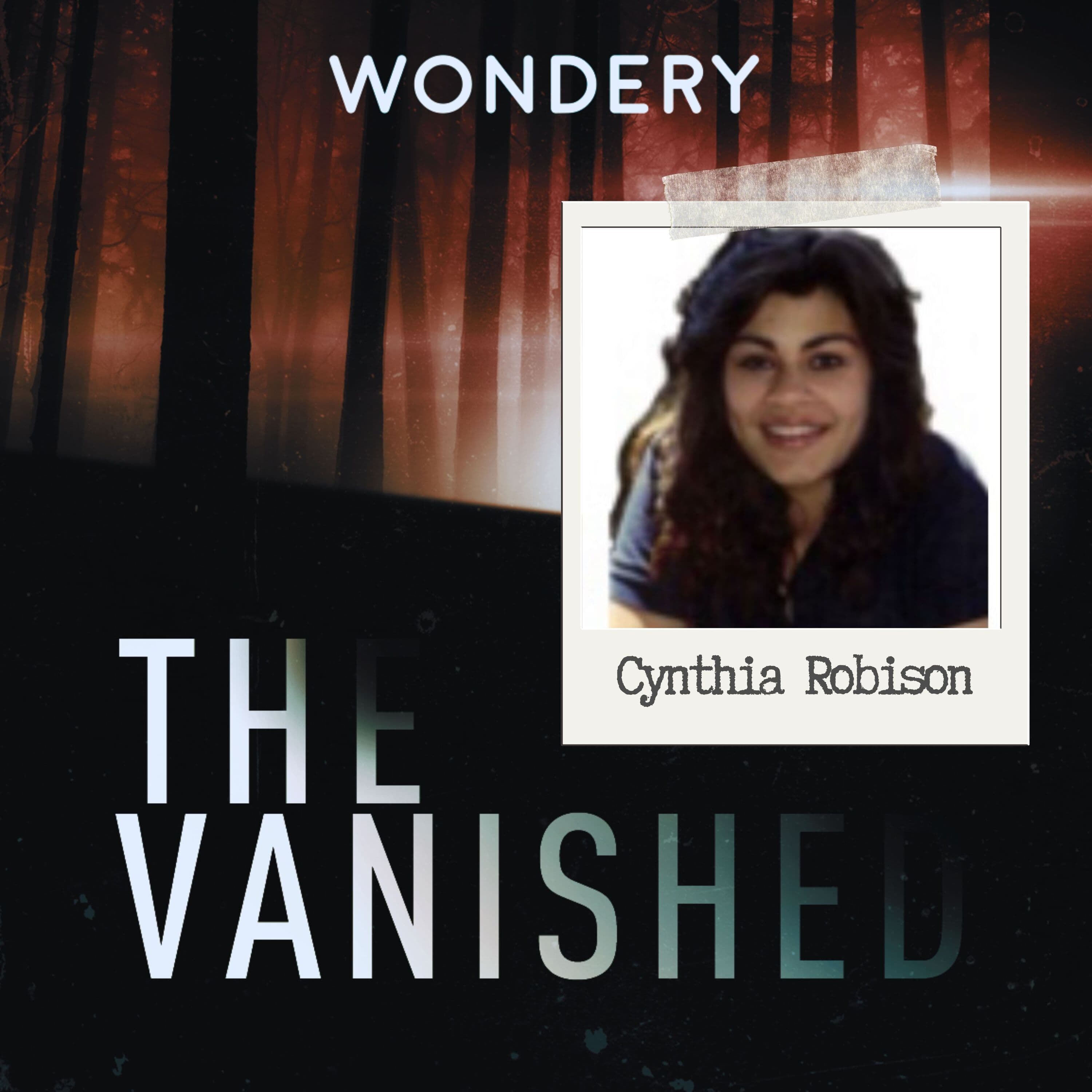 The Vanished Podcast cover art