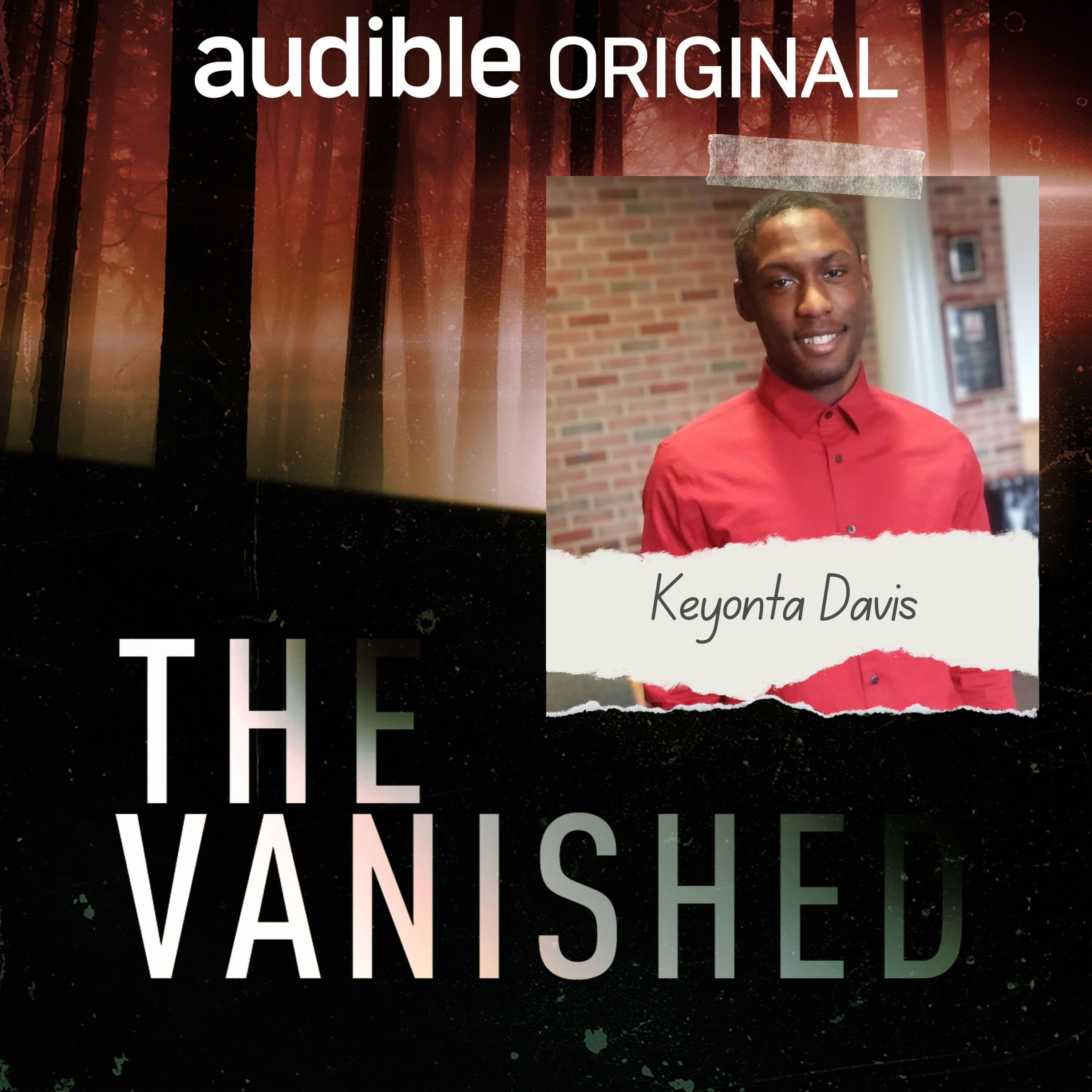 The Vanished Podcast cover art