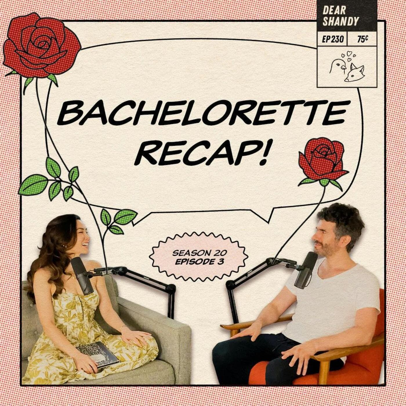 Dear Shandy podcast cover art