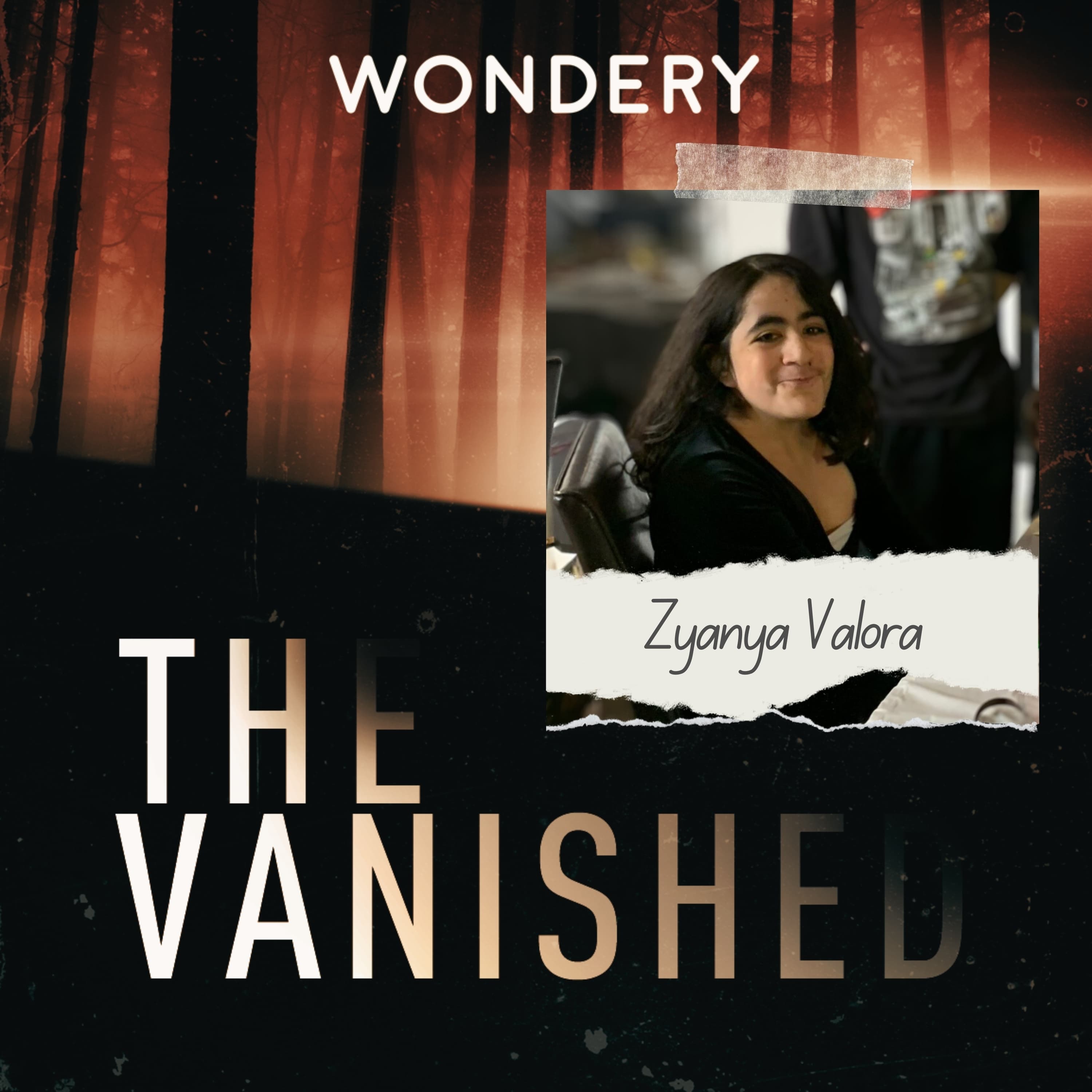 The Vanished Podcast cover art