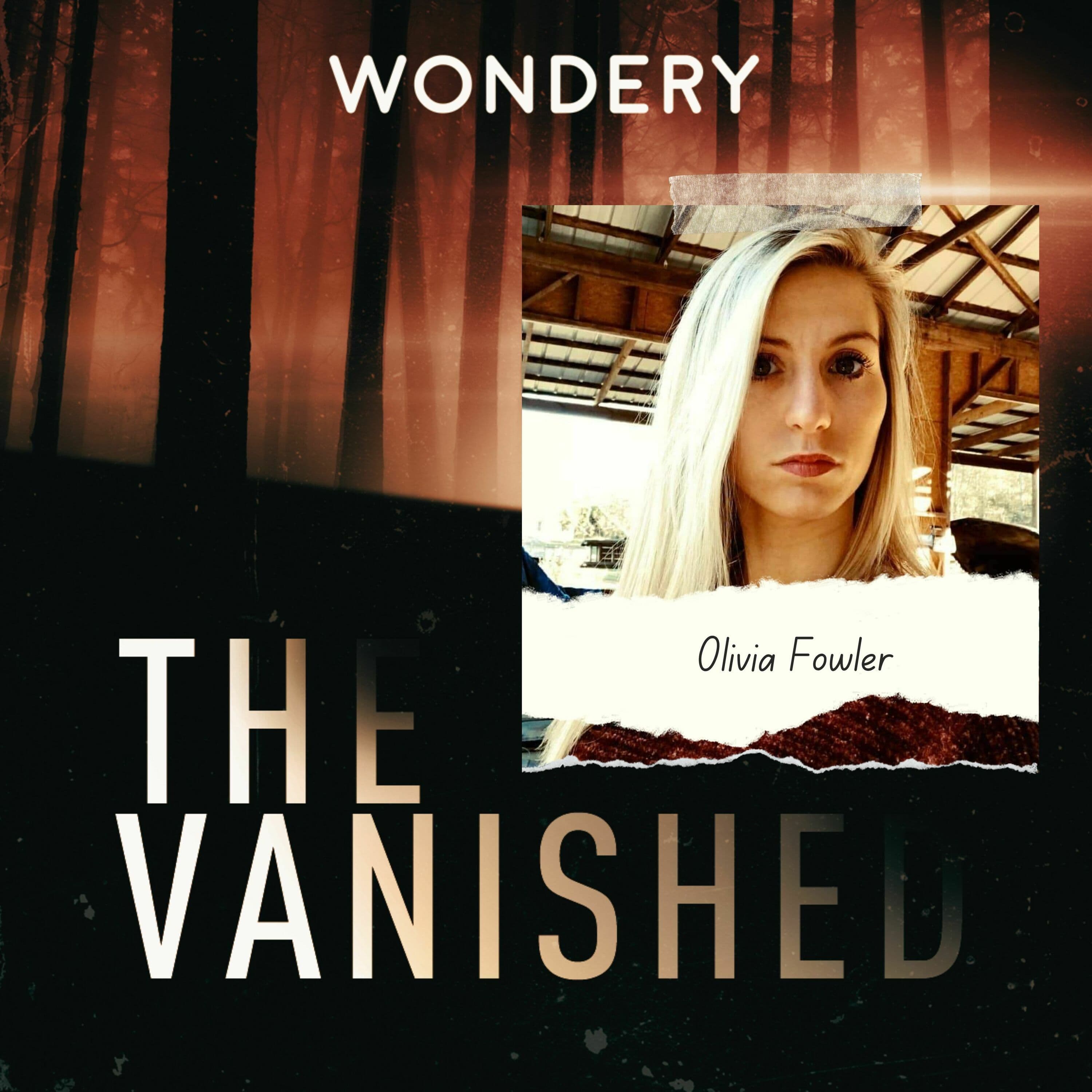 The Vanished Podcast cover art