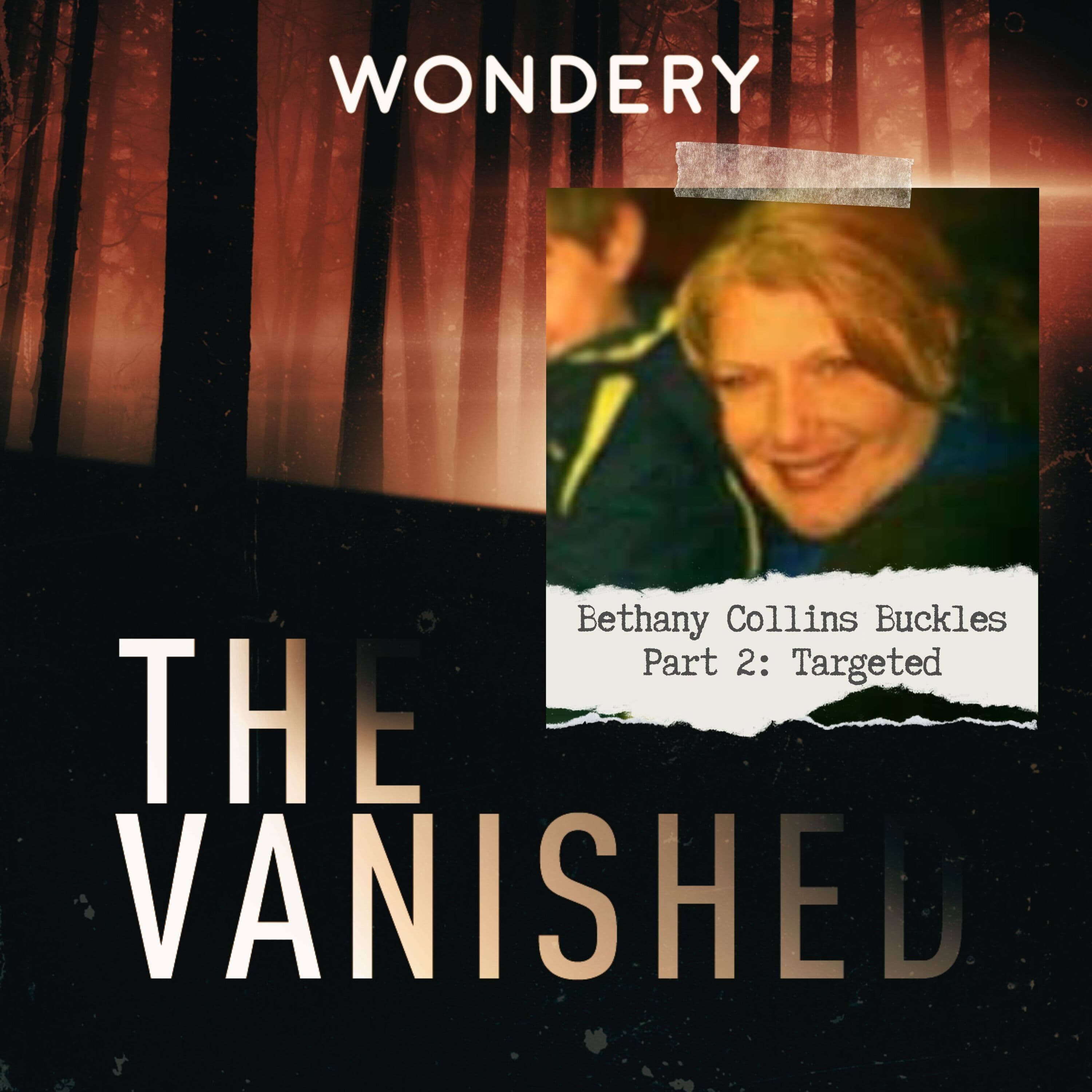 The Vanished Podcast cover art