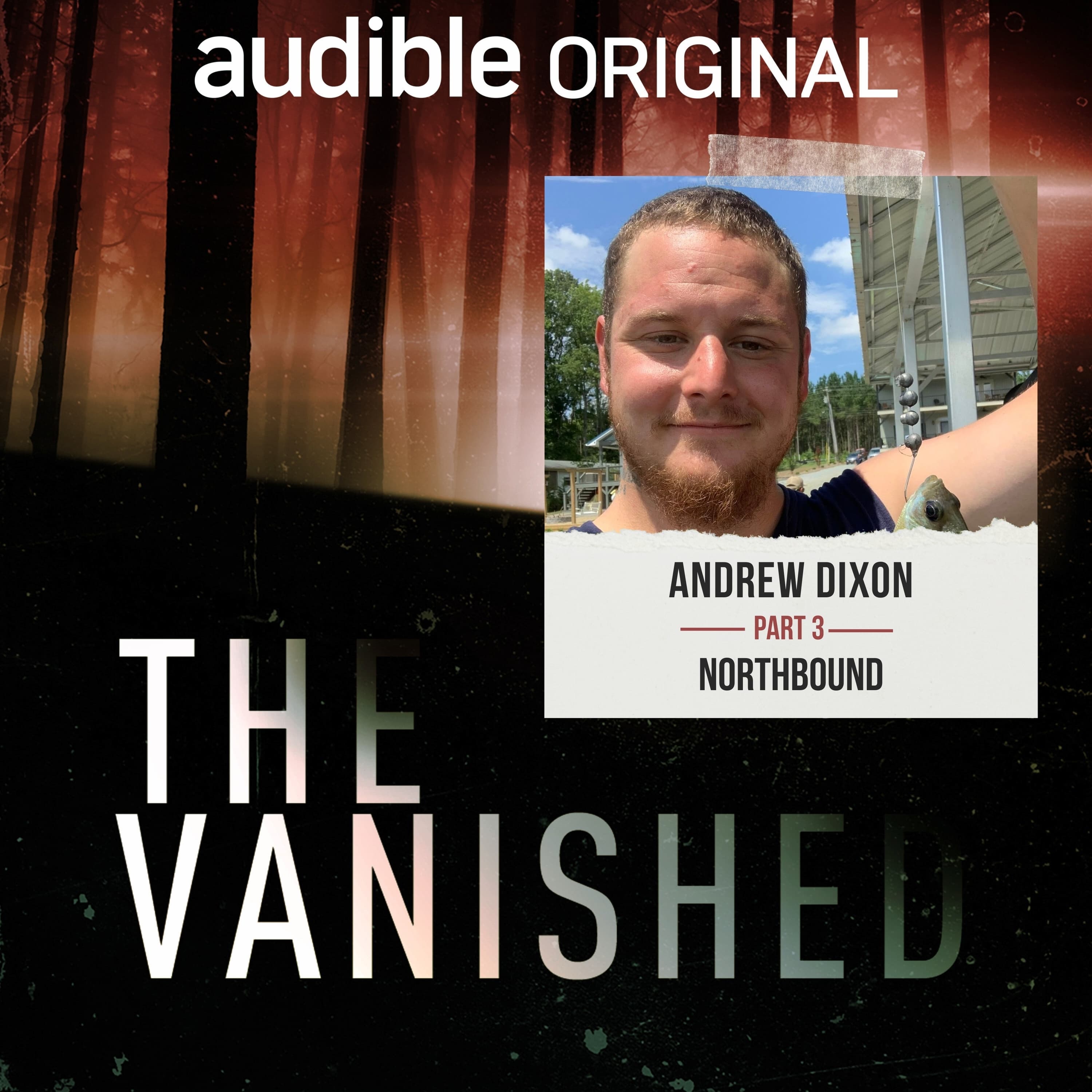 The Vanished Podcast cover art
