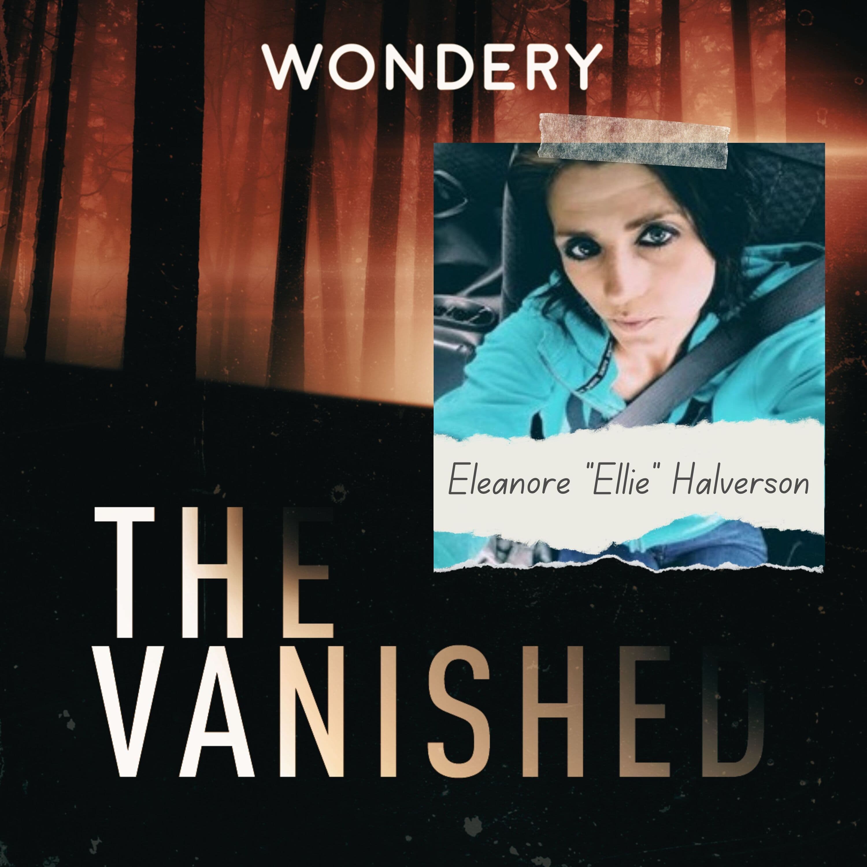 The Vanished Podcast cover art