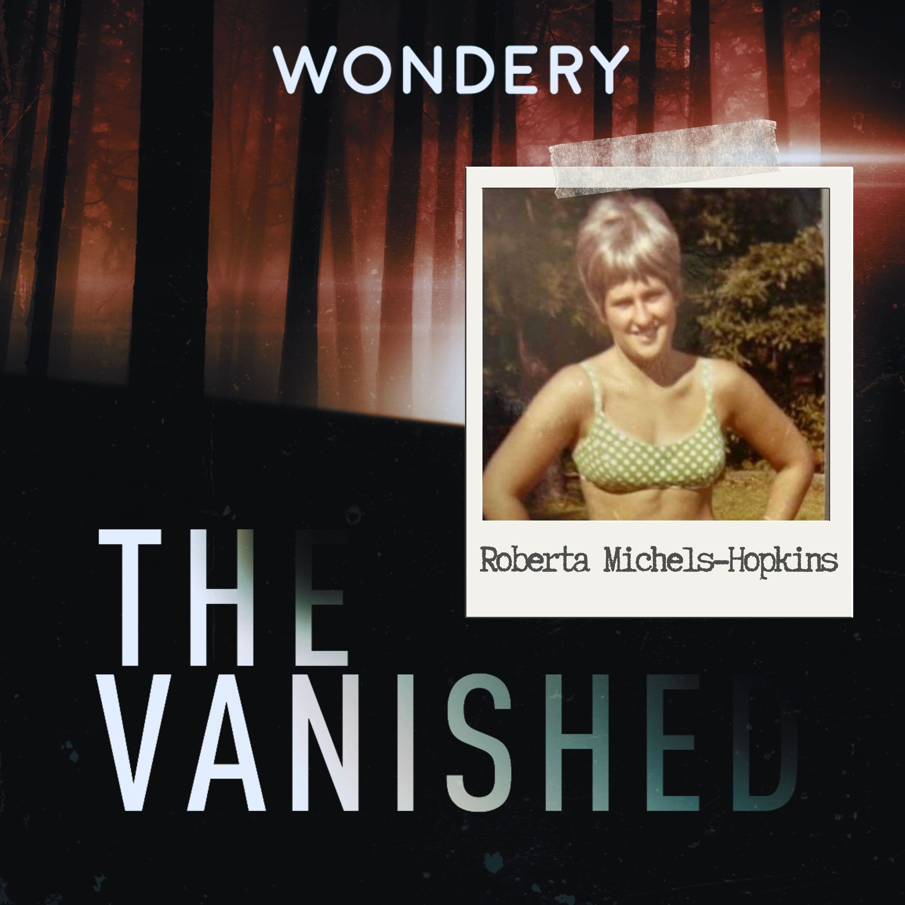 The Vanished Podcast cover art