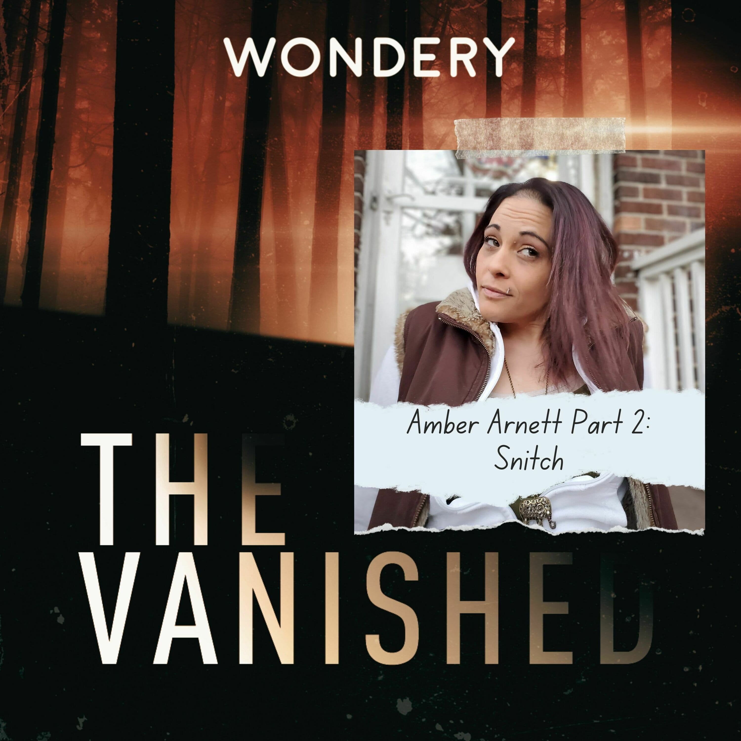 The Vanished Podcast cover art
