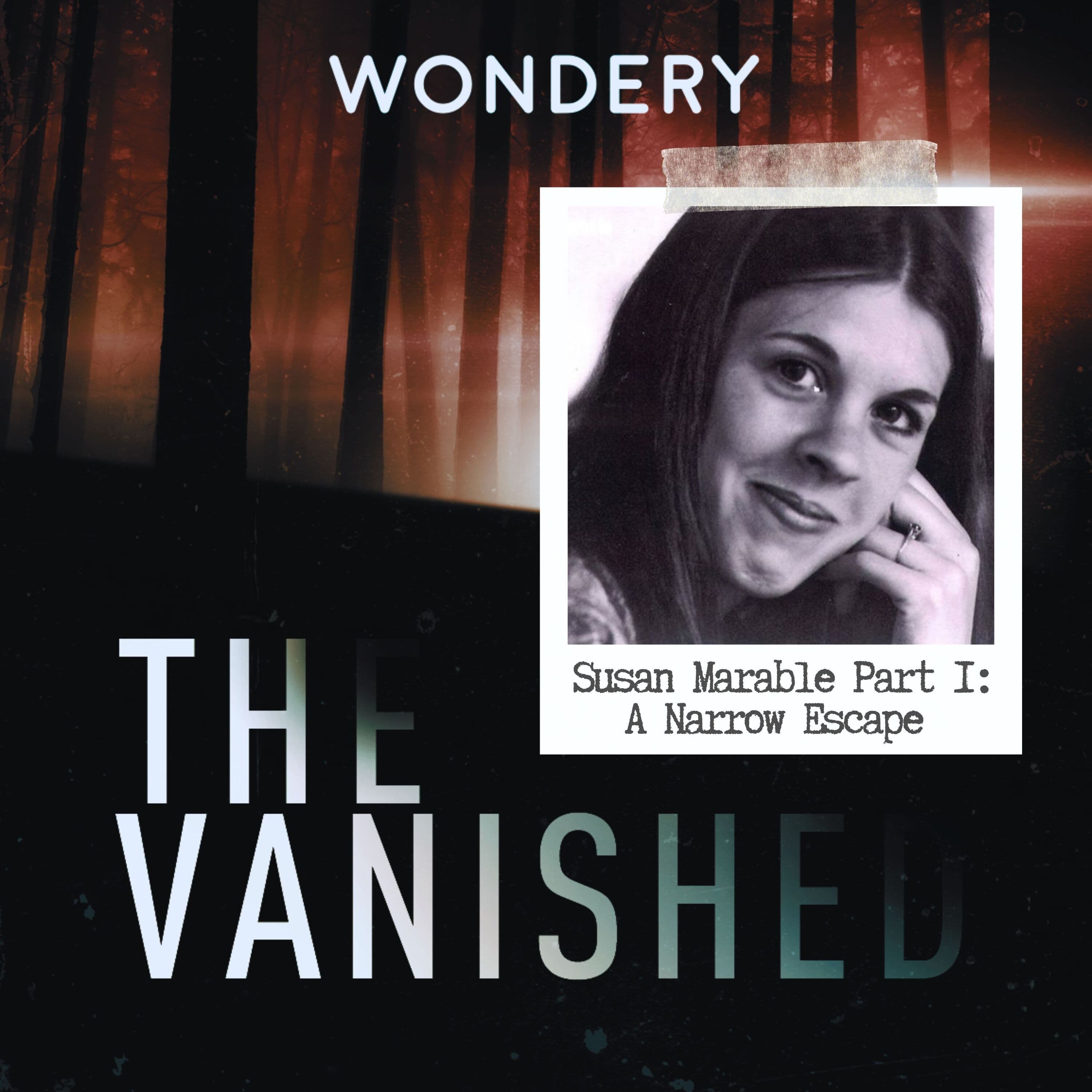 The Vanished Podcast cover art